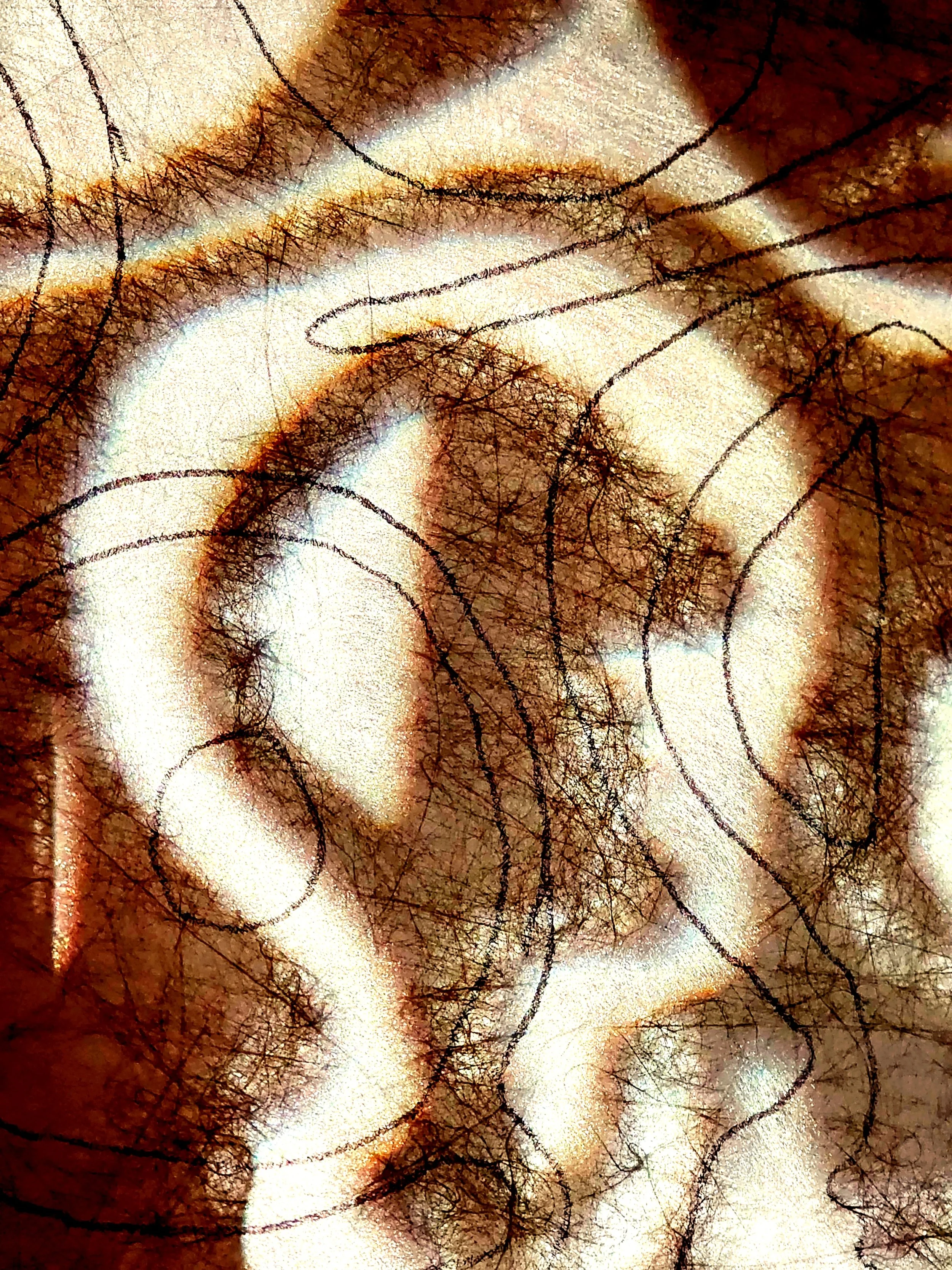 20240726_191603.jpg