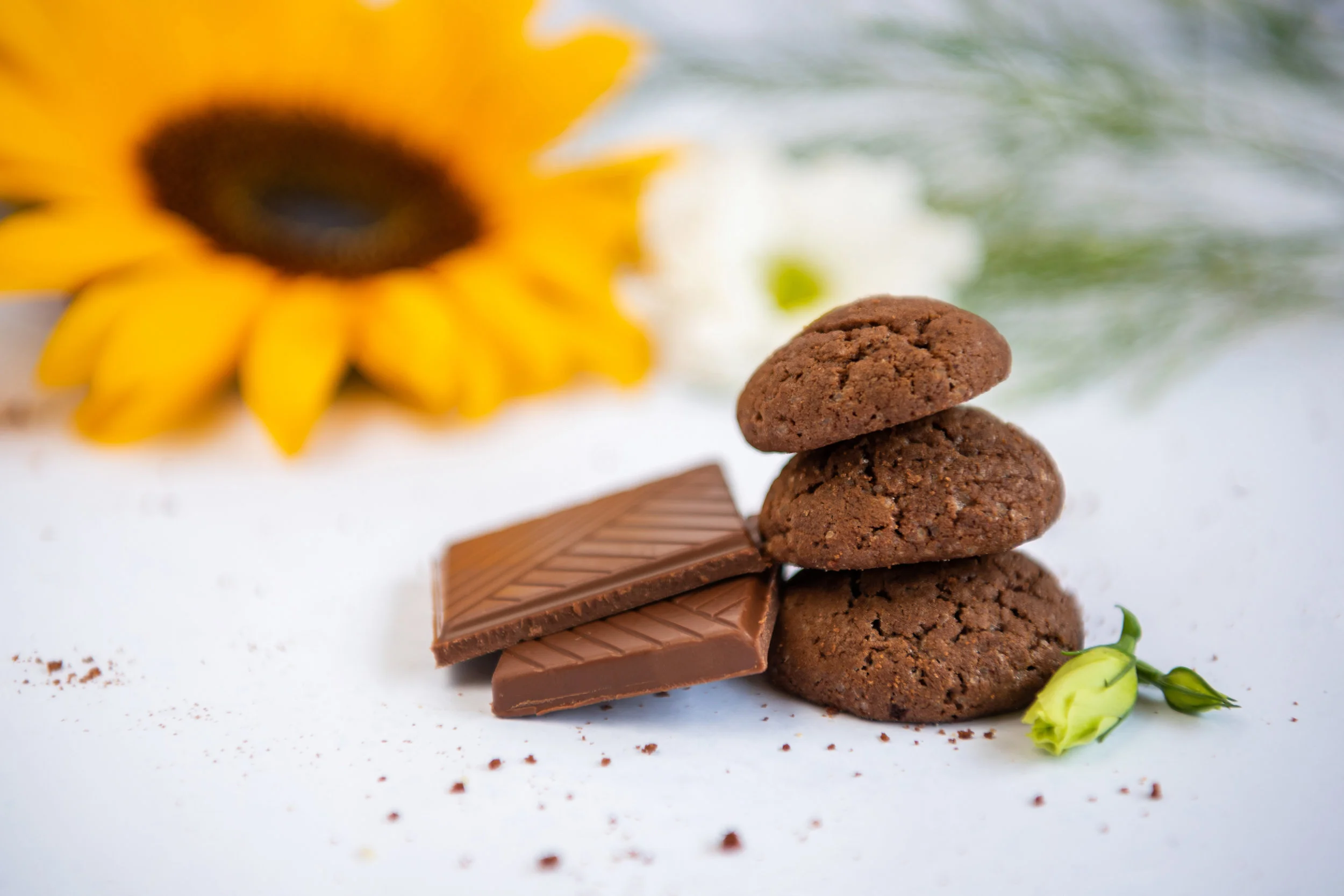 fotografie biscuiti cioco.jpg