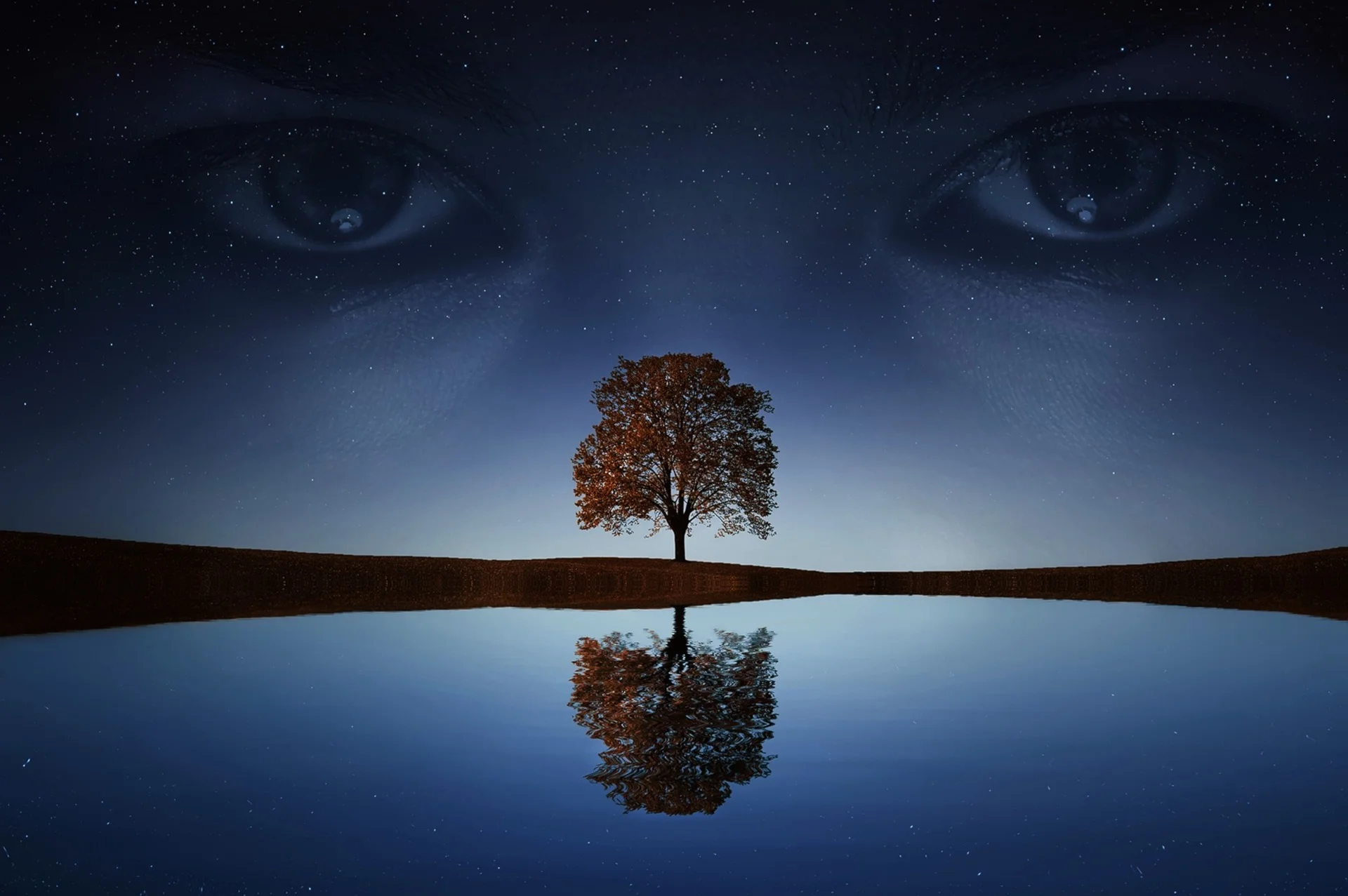 eyes-4043559_1920.jpg