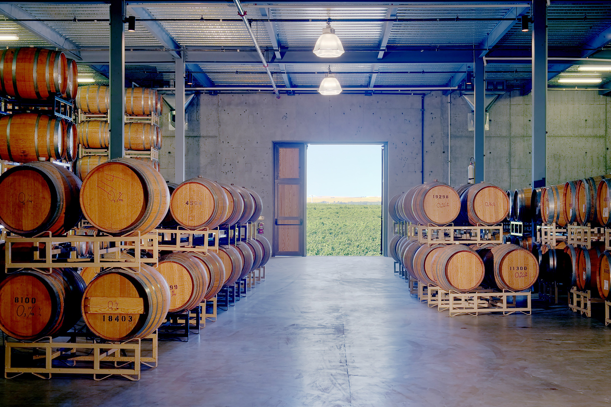 Kiona Winery Barrel Room.jpg