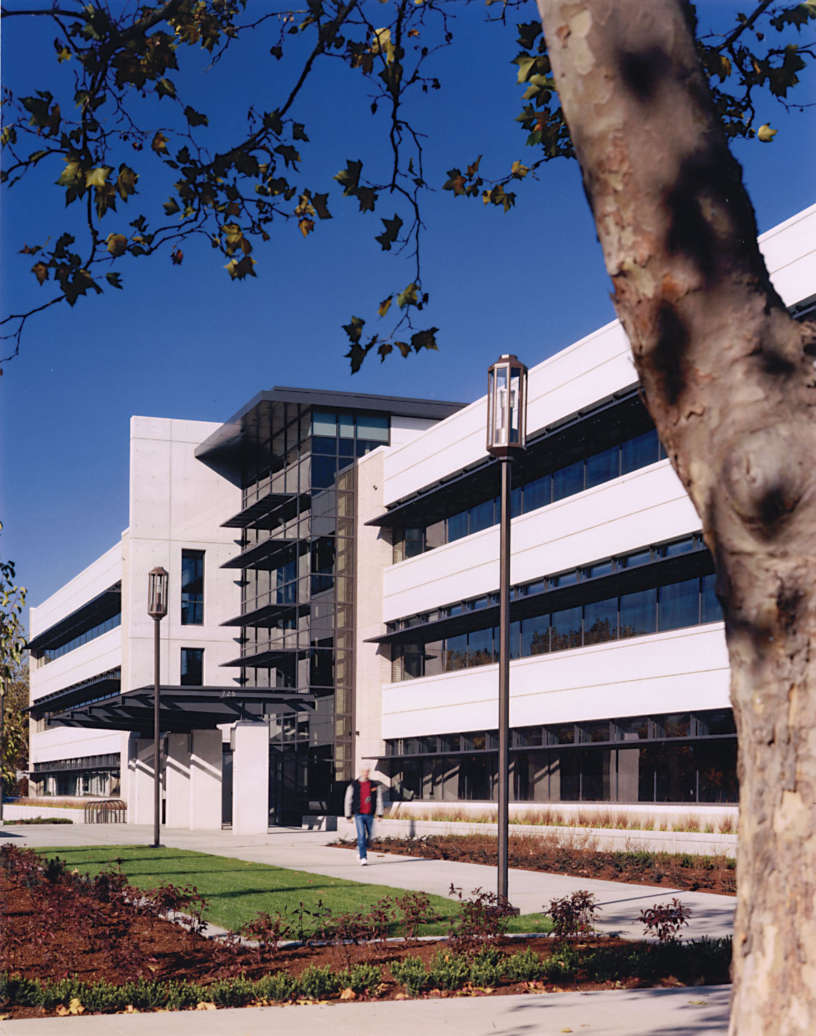 south entry atrium.jpg