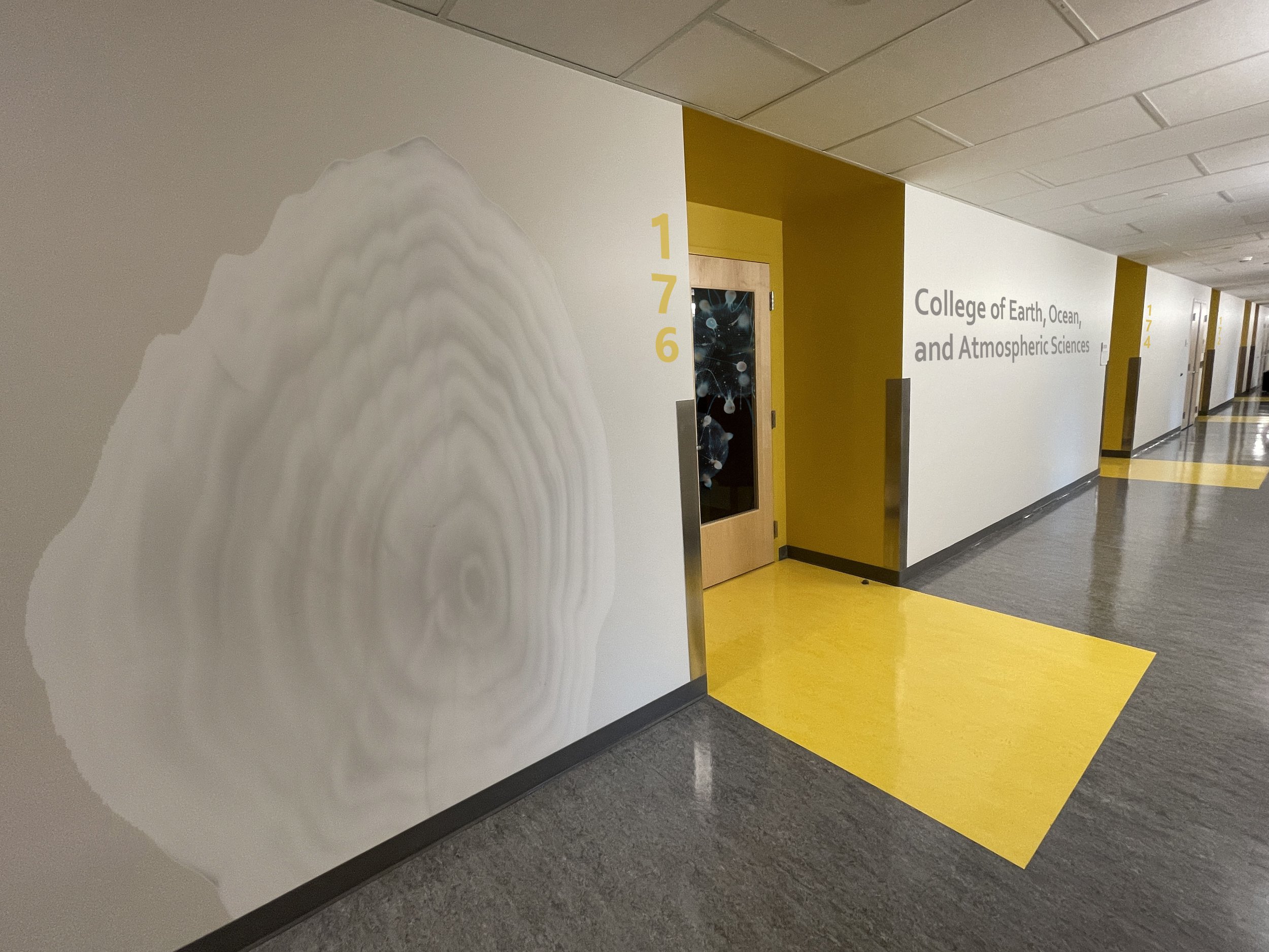Yellow Hallway_edit5_sm.jpg