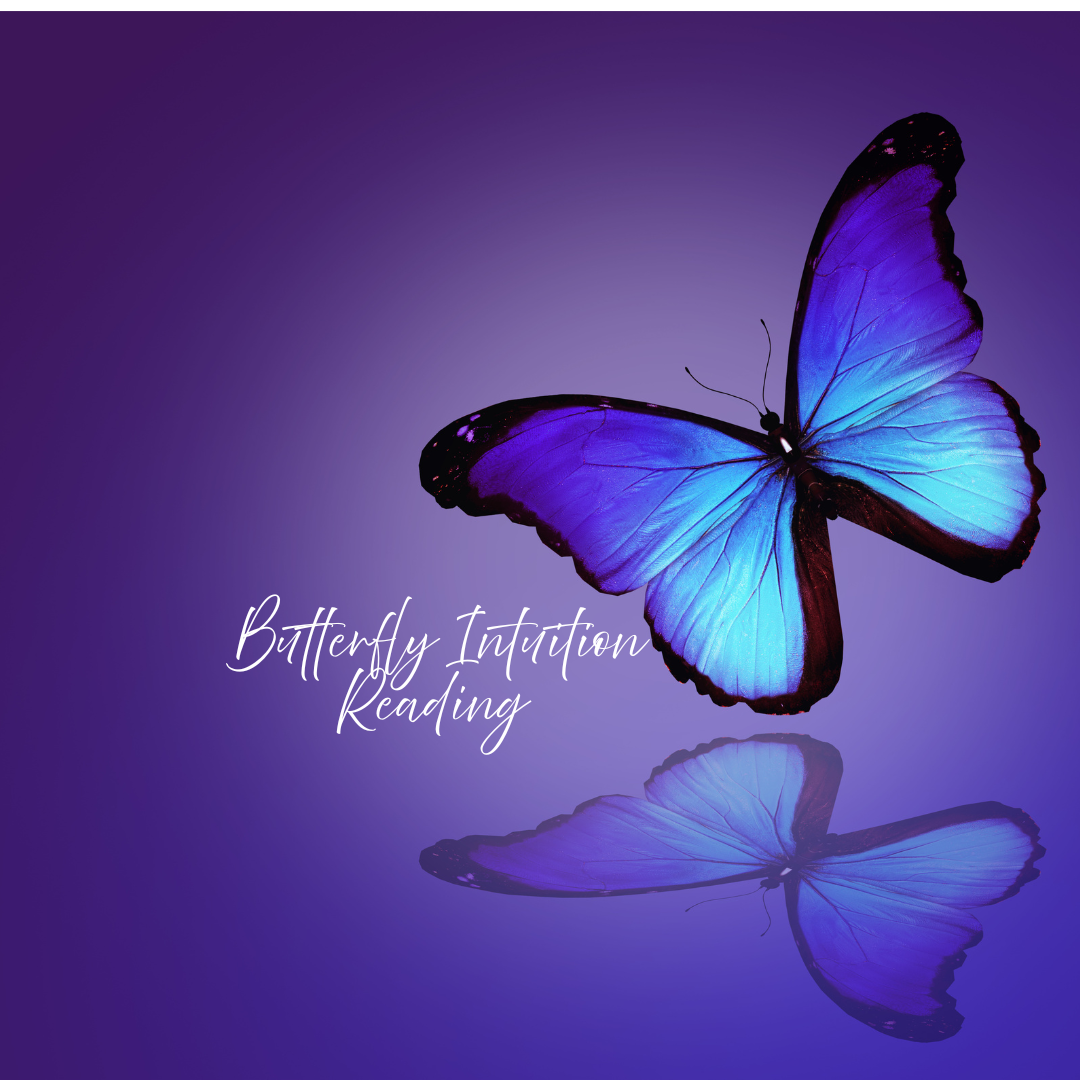 butterfly intuiton.png