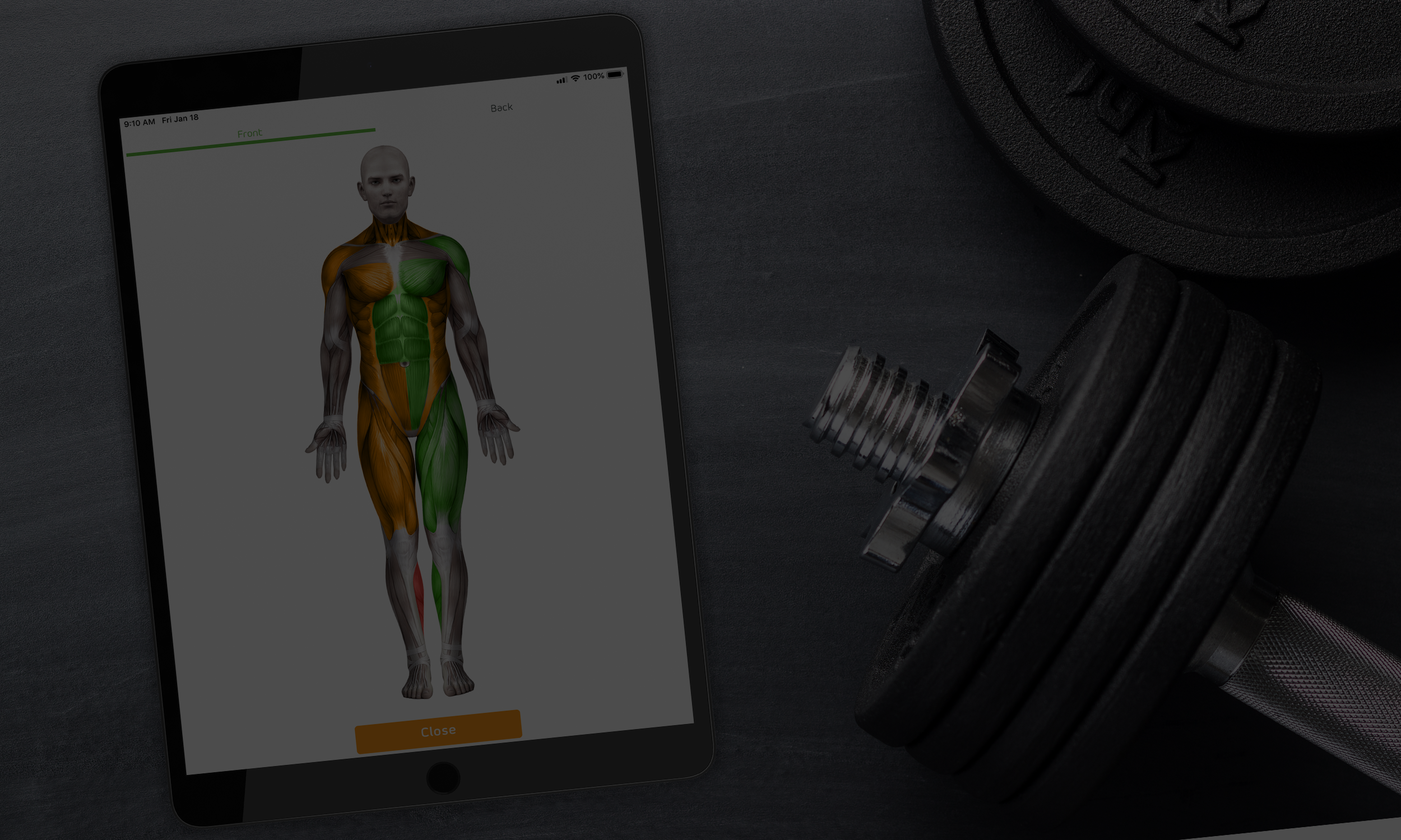 Range of Motion App.png