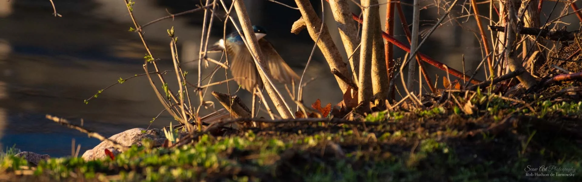 LBPIA General Meeting Notice - Spring 2019