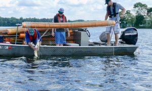 Lake-Beulah-Fish-Survey-005.jpg