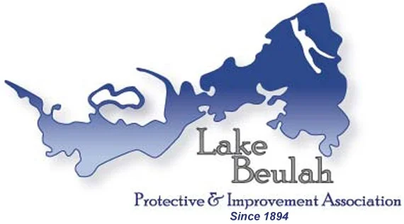 LBPIA_LogoHomepage3.jpg