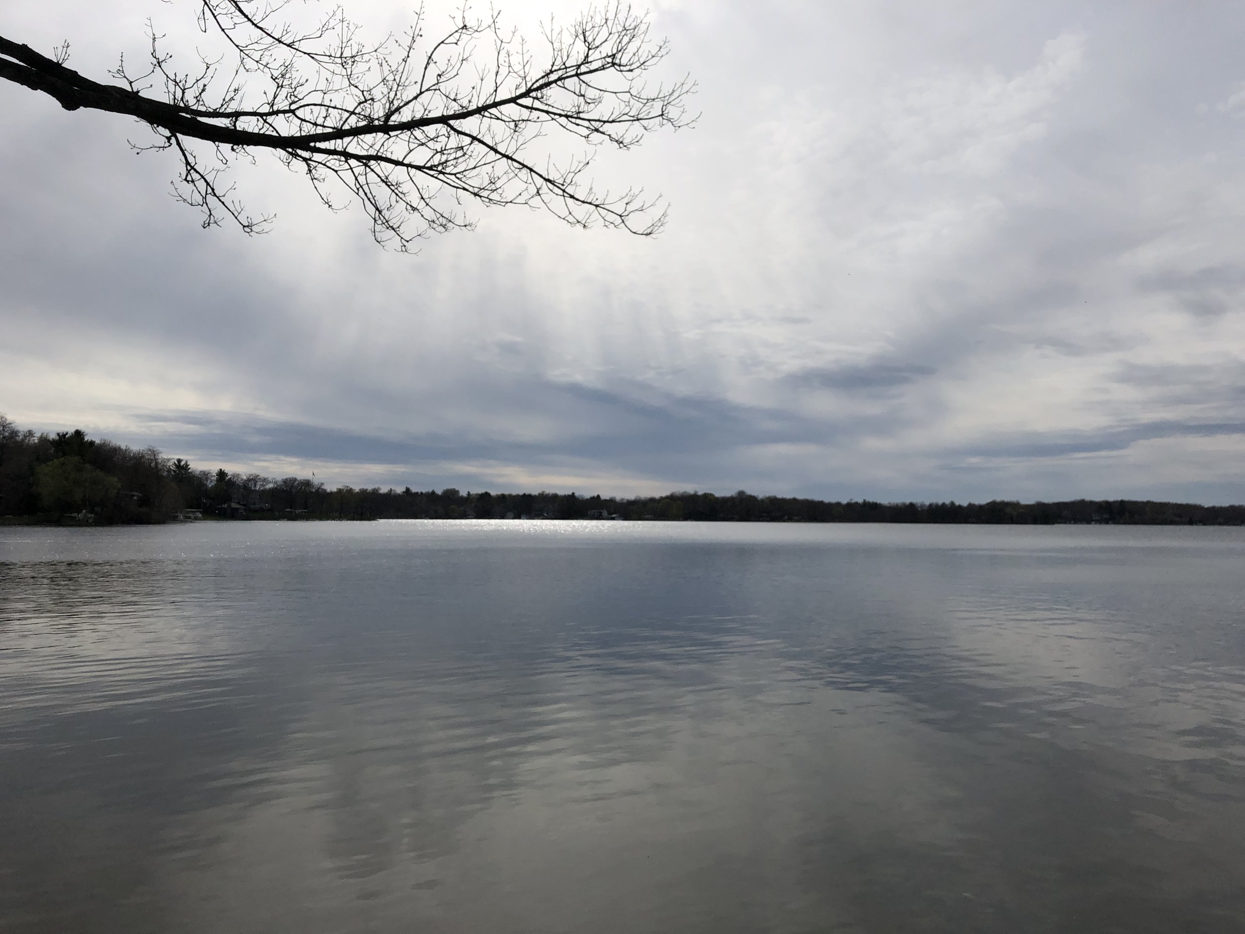 Photo by Greg Thomas