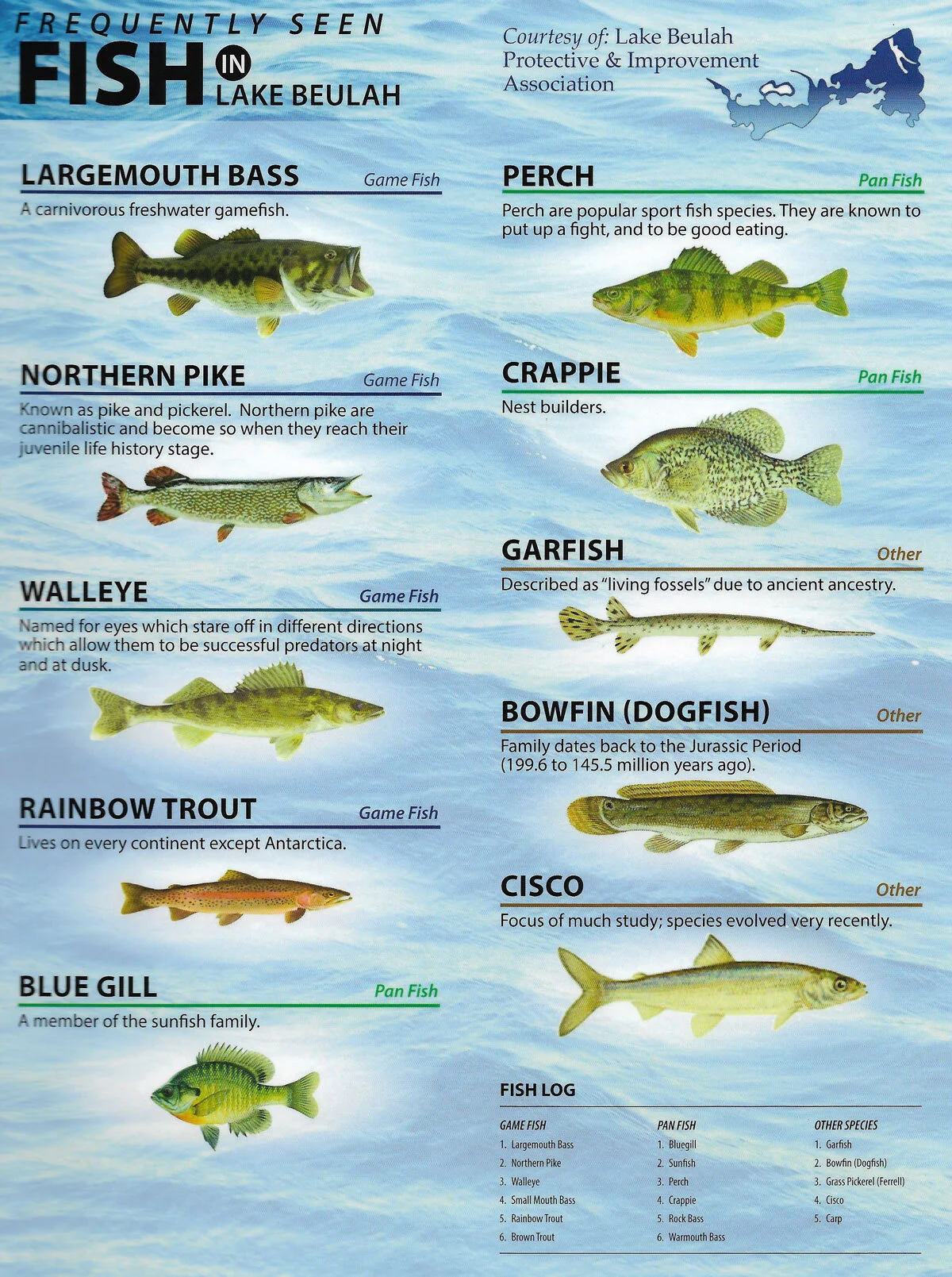 Types Of Lake Fish