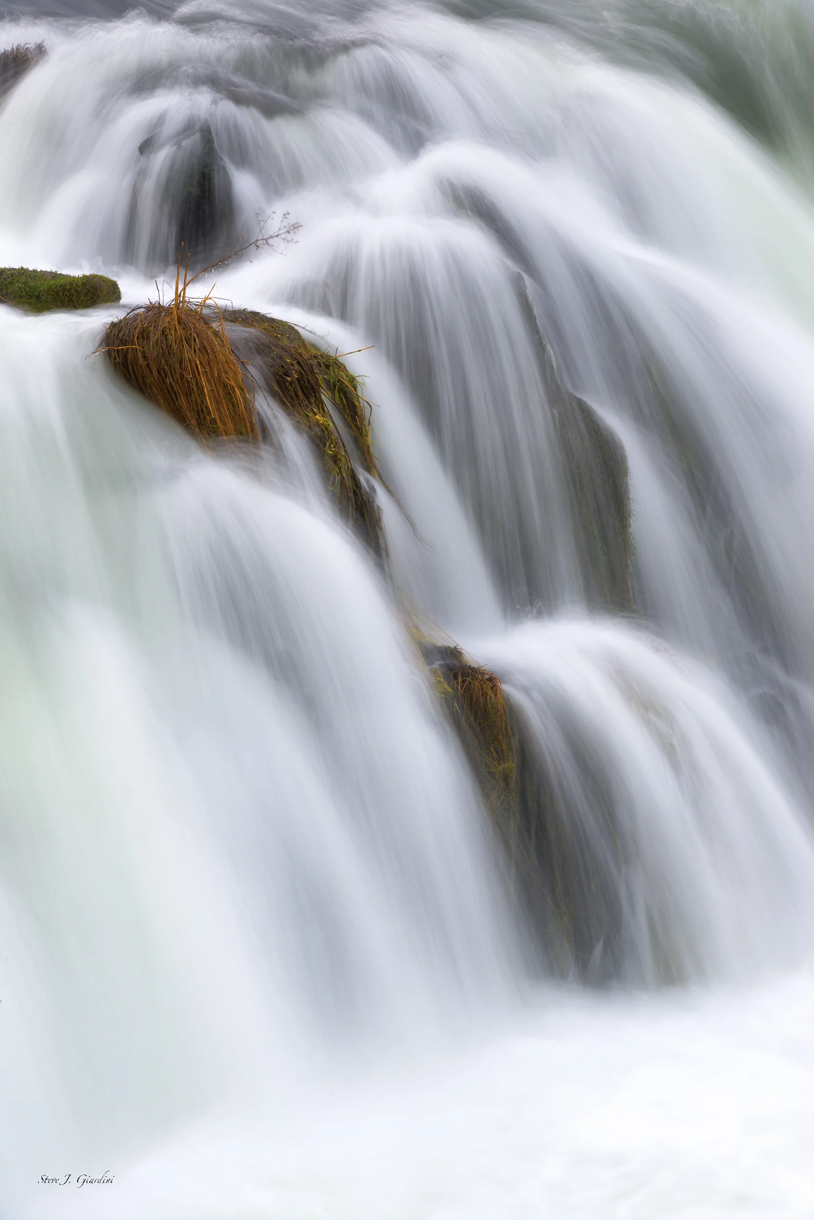 Steelhead Cascade 1810097WND8