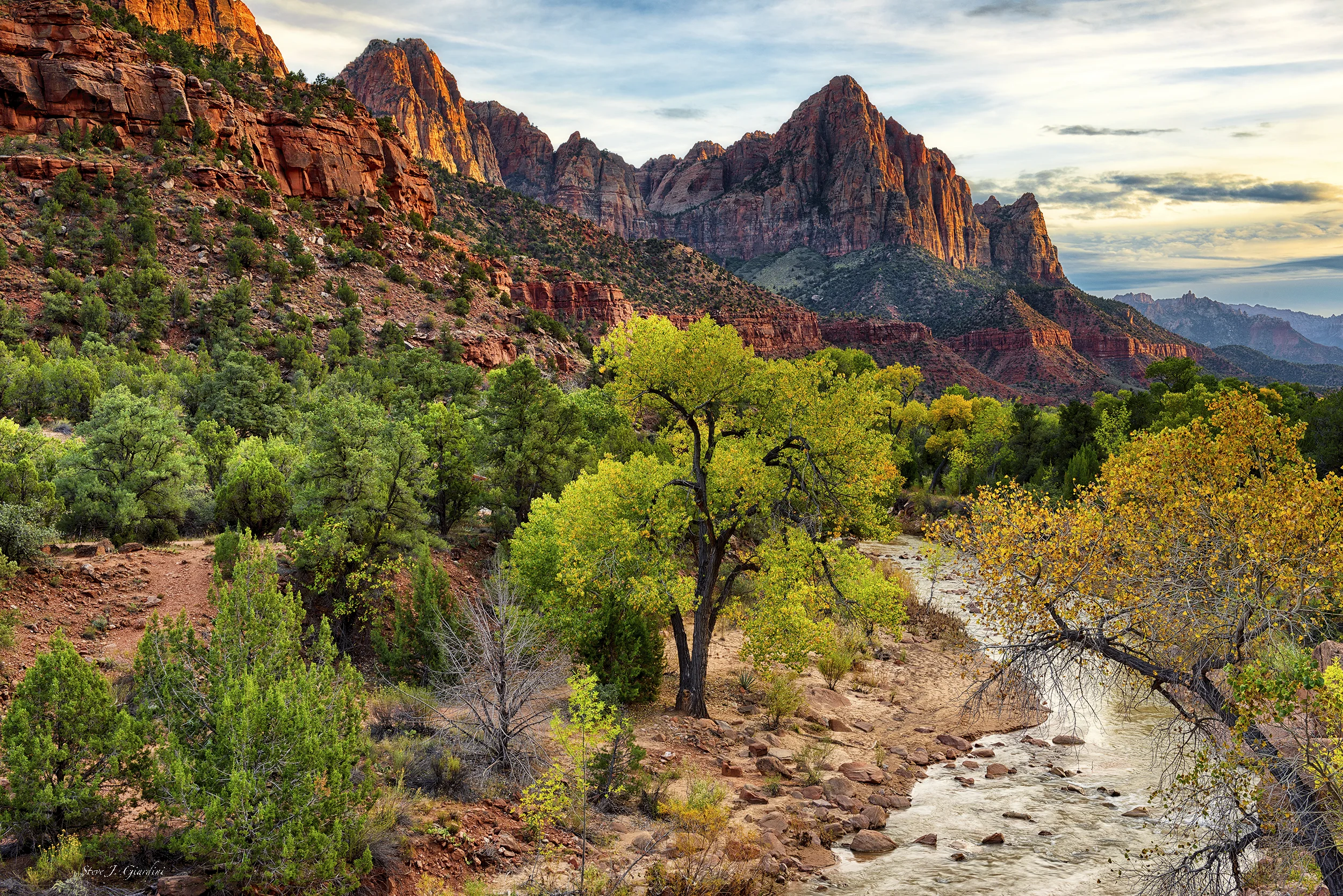 The Watchman II 151325LND8 - Zion National Park, Utah, USA