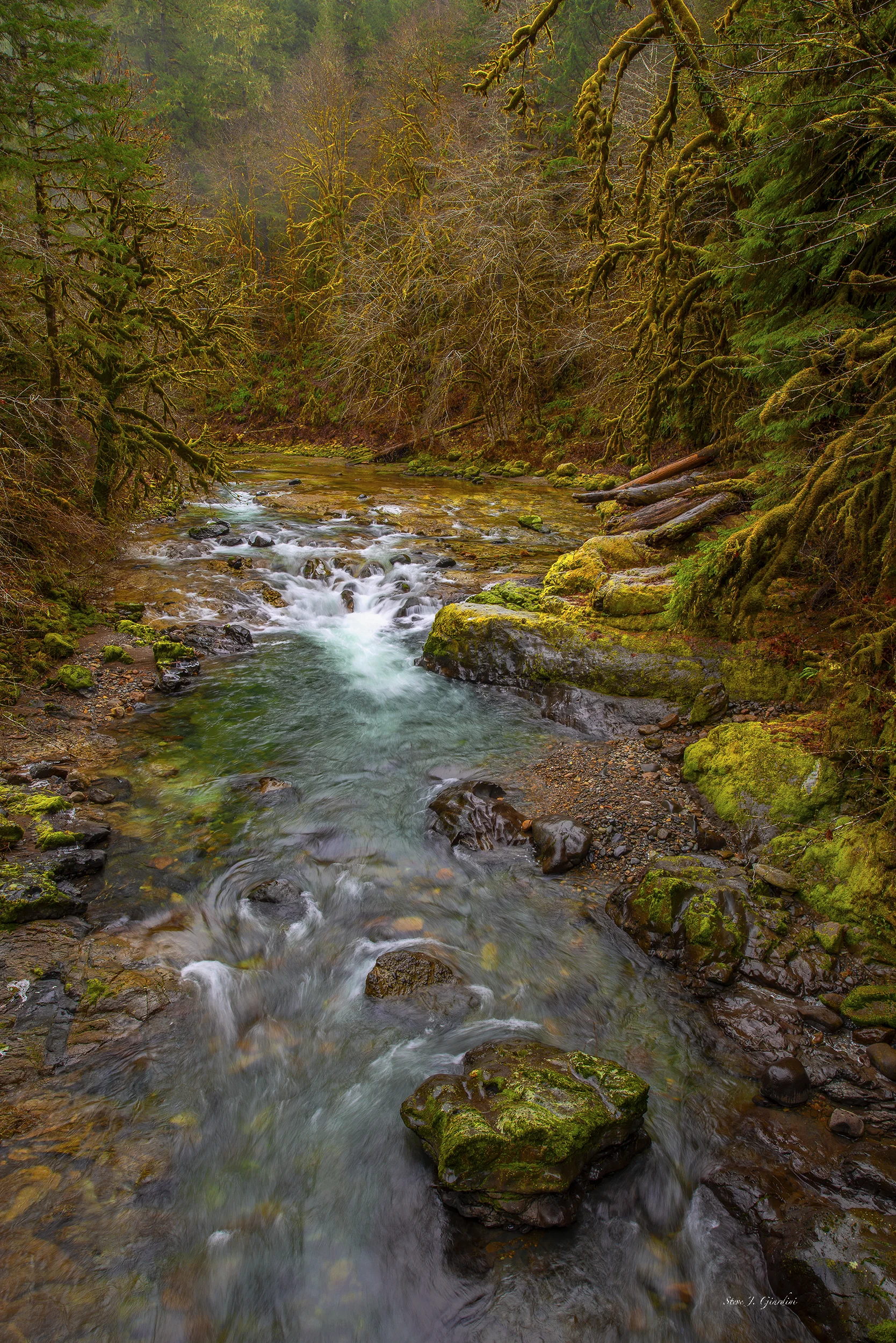 South Santiam River 191015NWND8