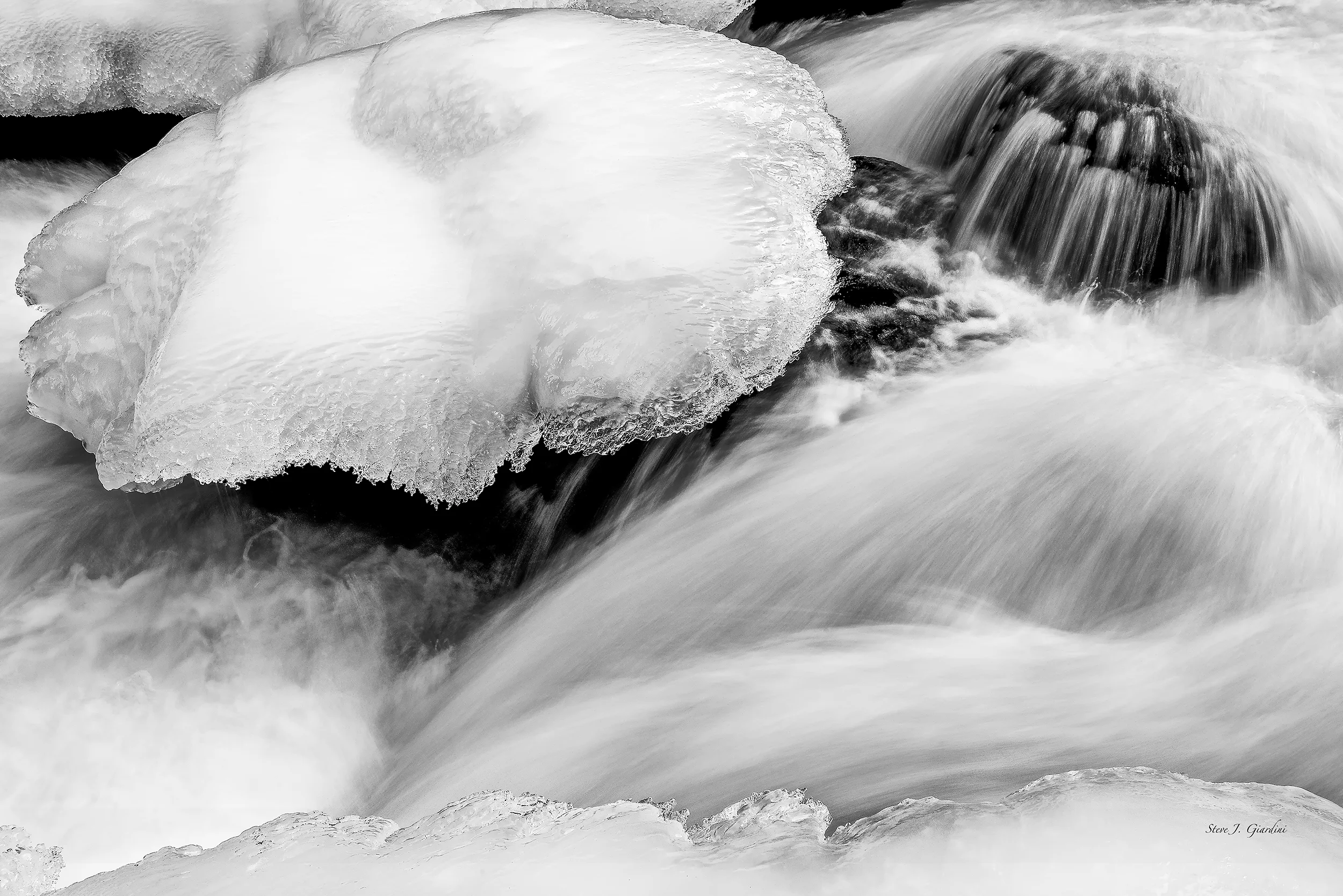 Mushroom_Ice_131064CND8_sqsp.jpg