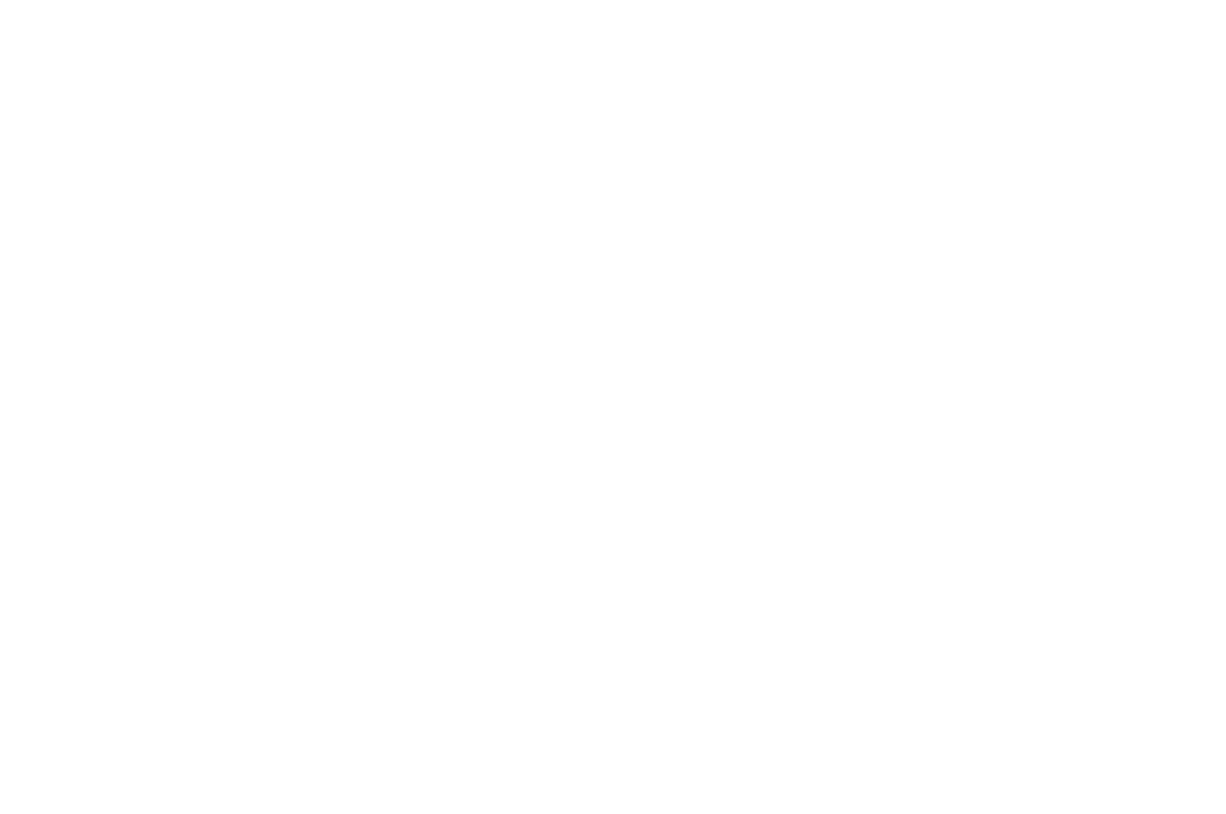 OFFICIAL SELECTION - NewFilmmakers New York Film Festival - 2018.png