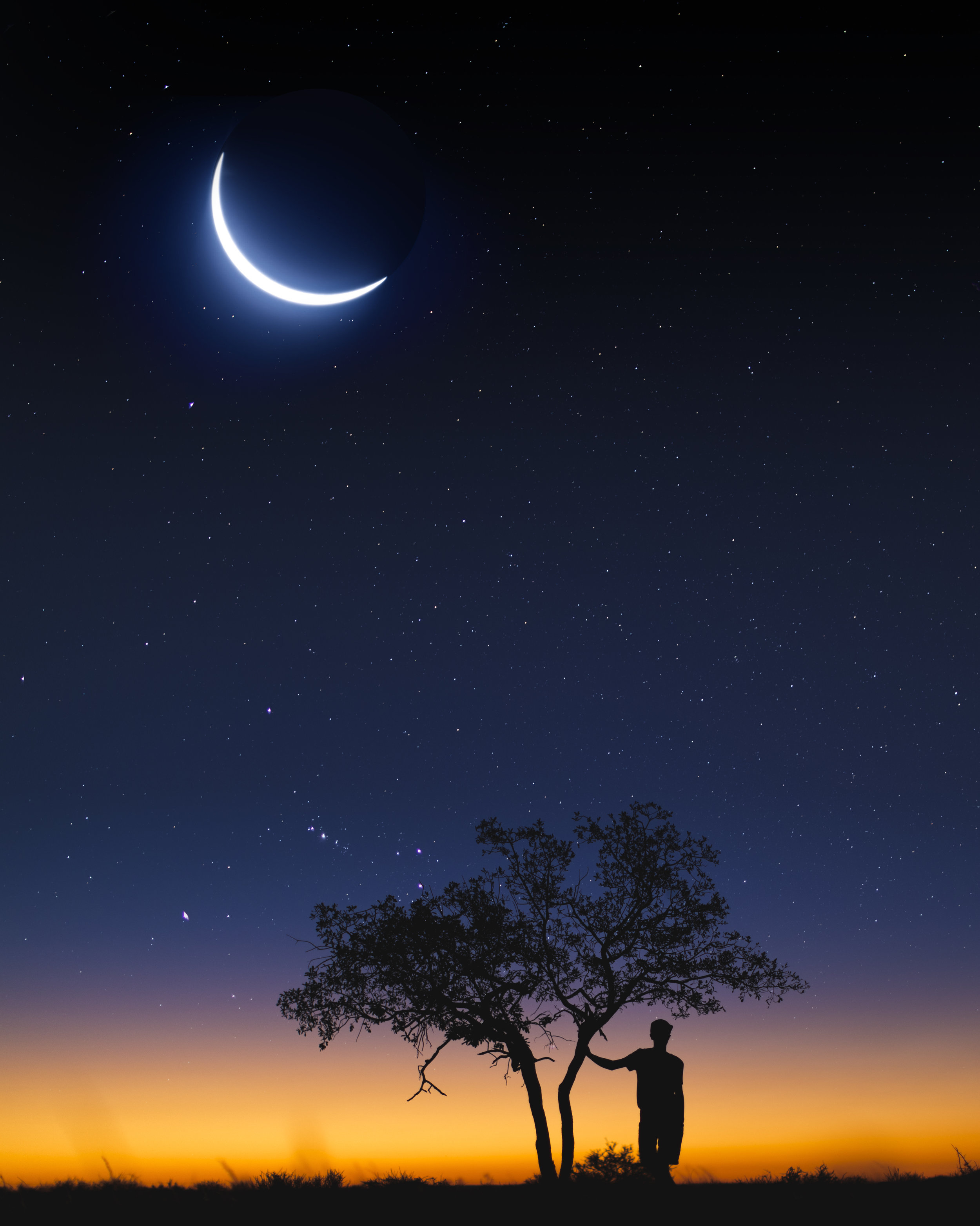 Danny under tree and stars .jpg