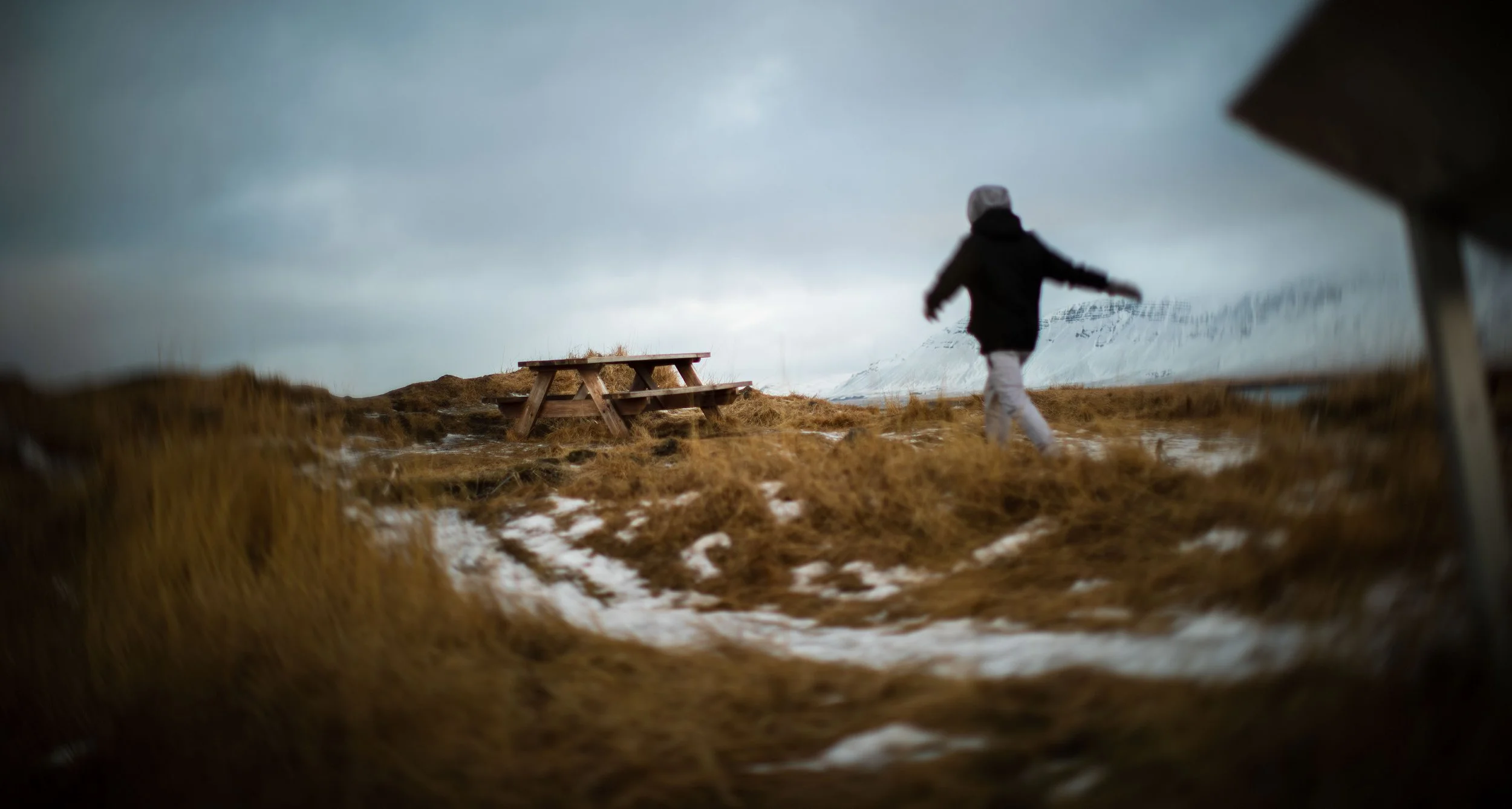 danny in action_1.jpg