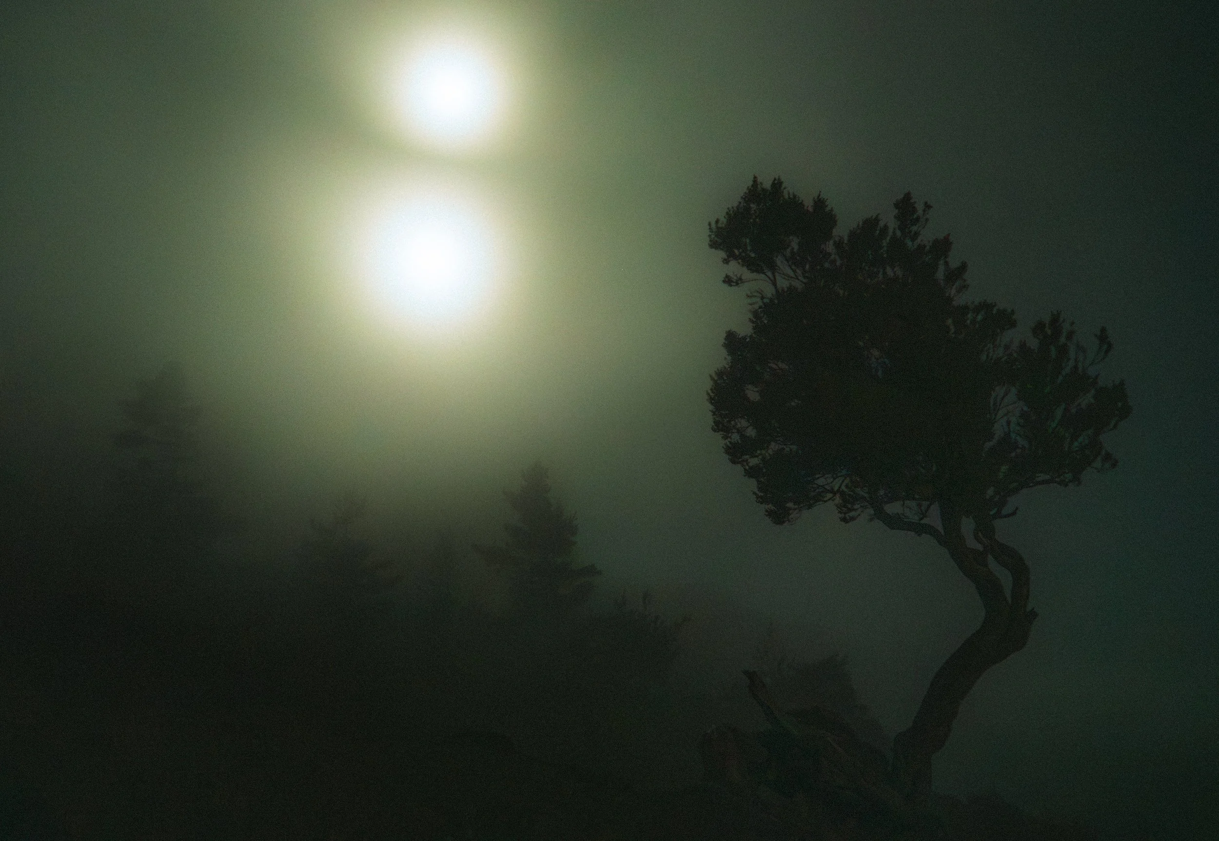 two star system_1.jpg