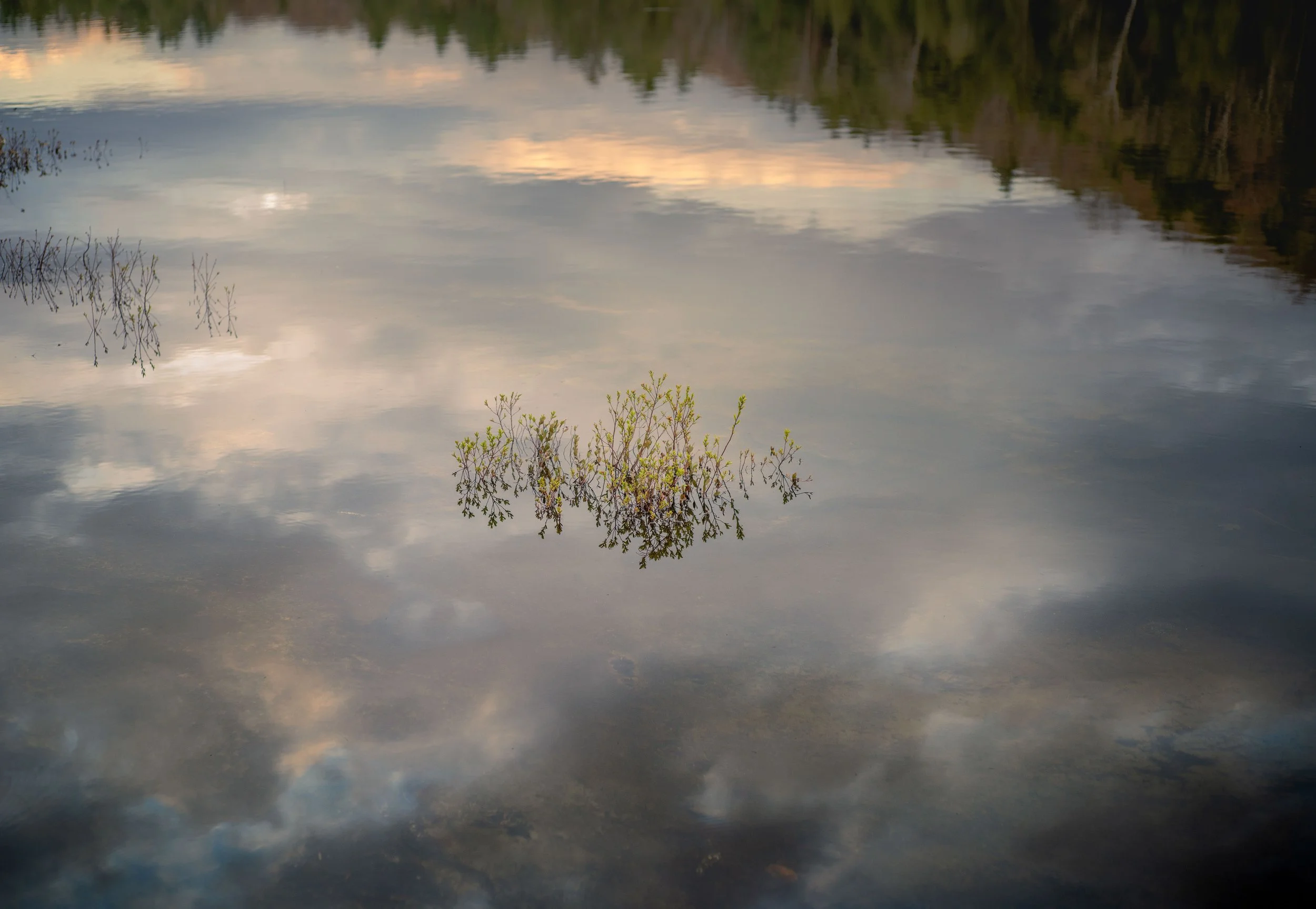 no man is an island_1.jpg