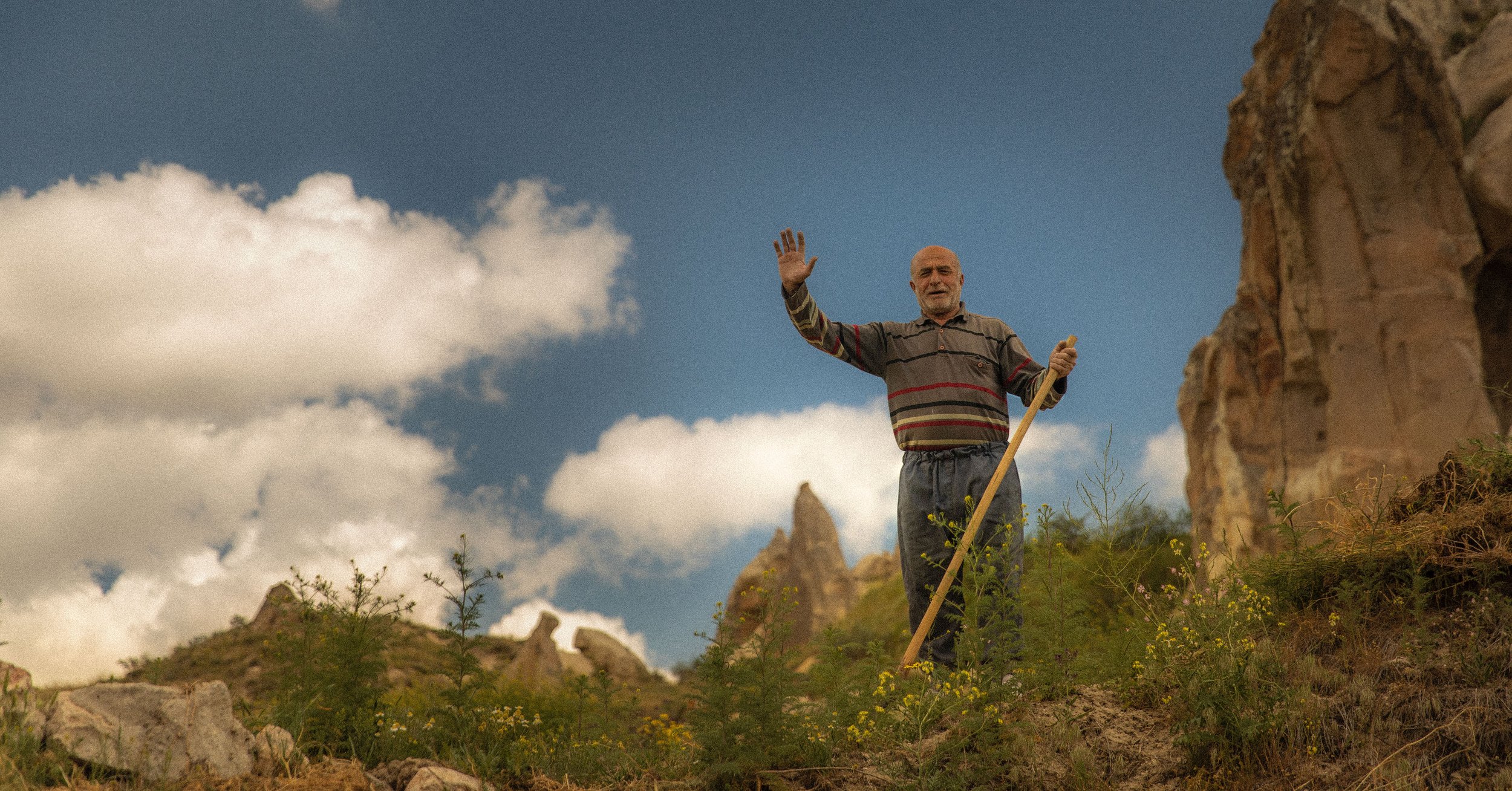 turkey waving hello_1.jpg