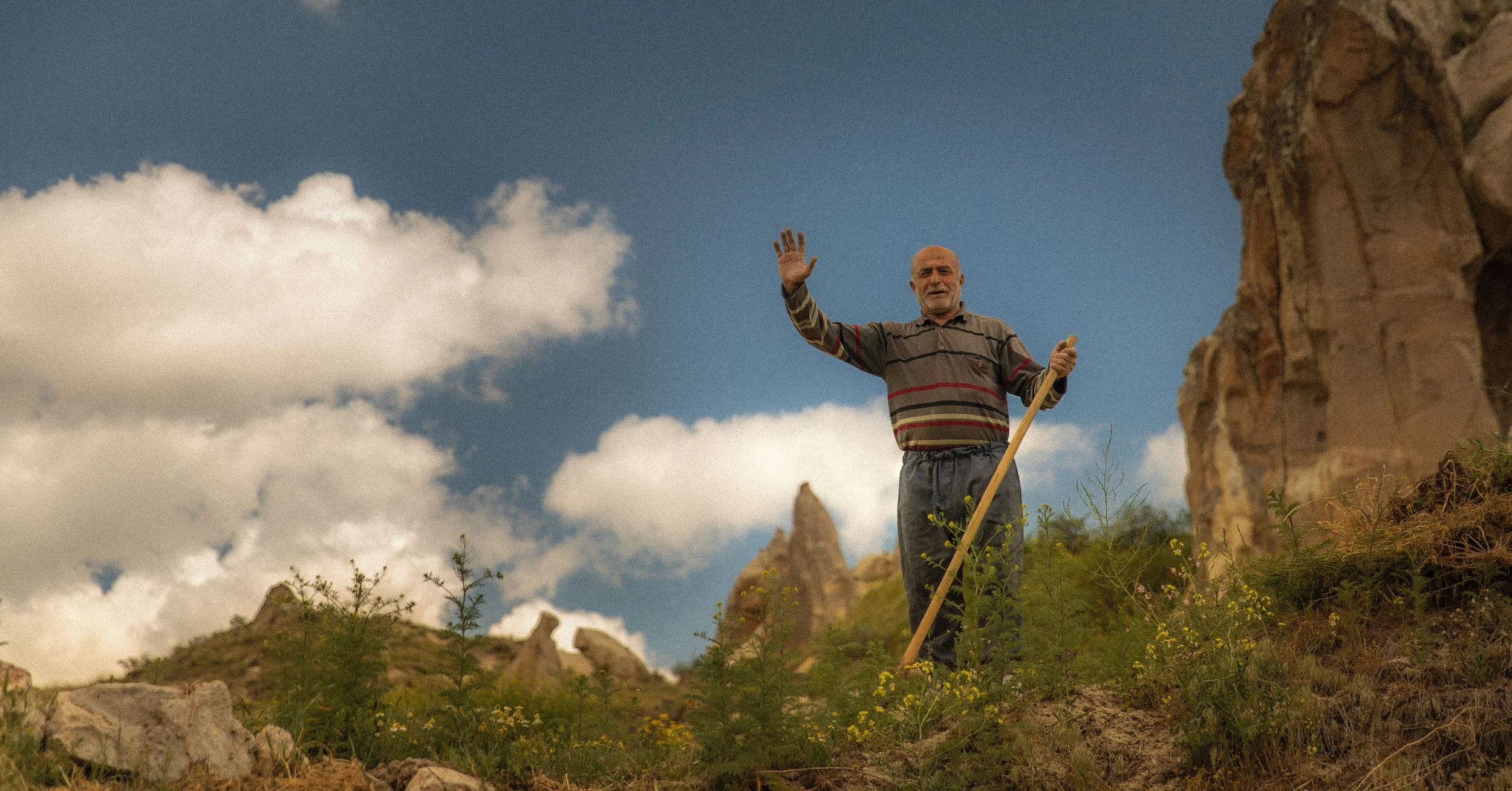 turkey waving hello_1.jpg