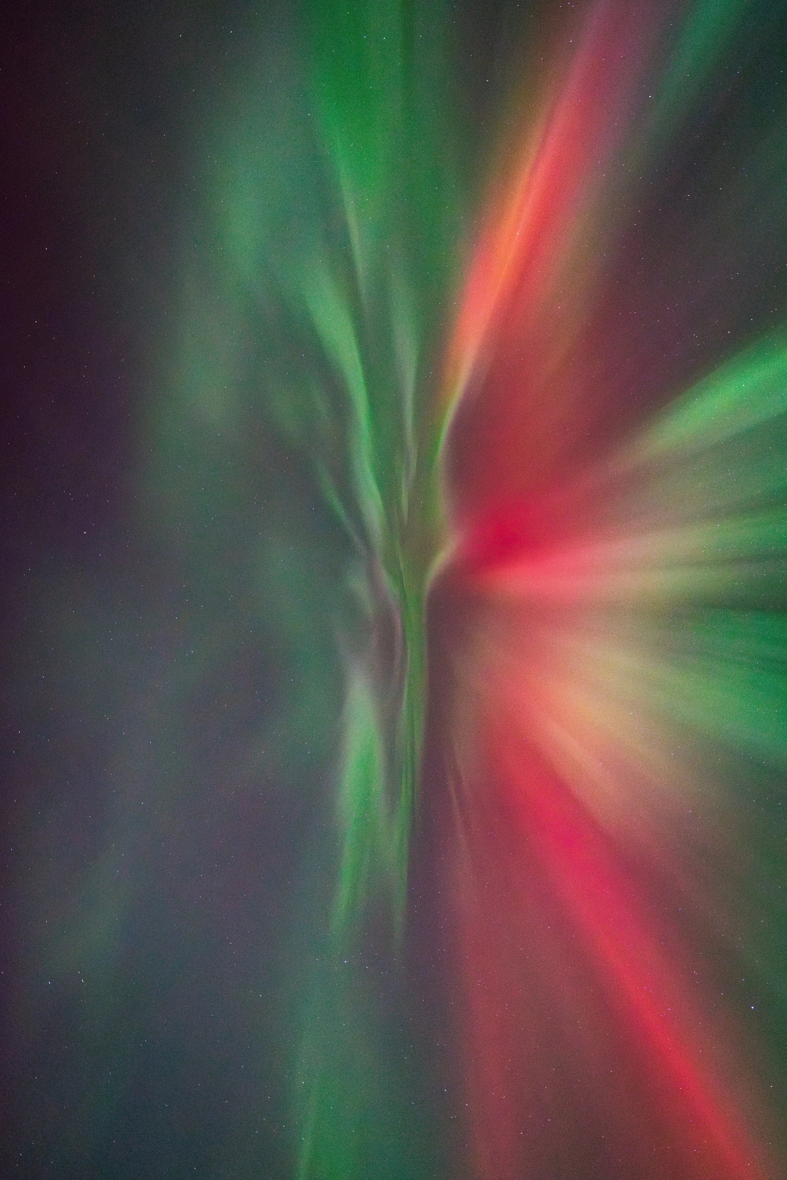 Aurora 2024 lq for website.jpg