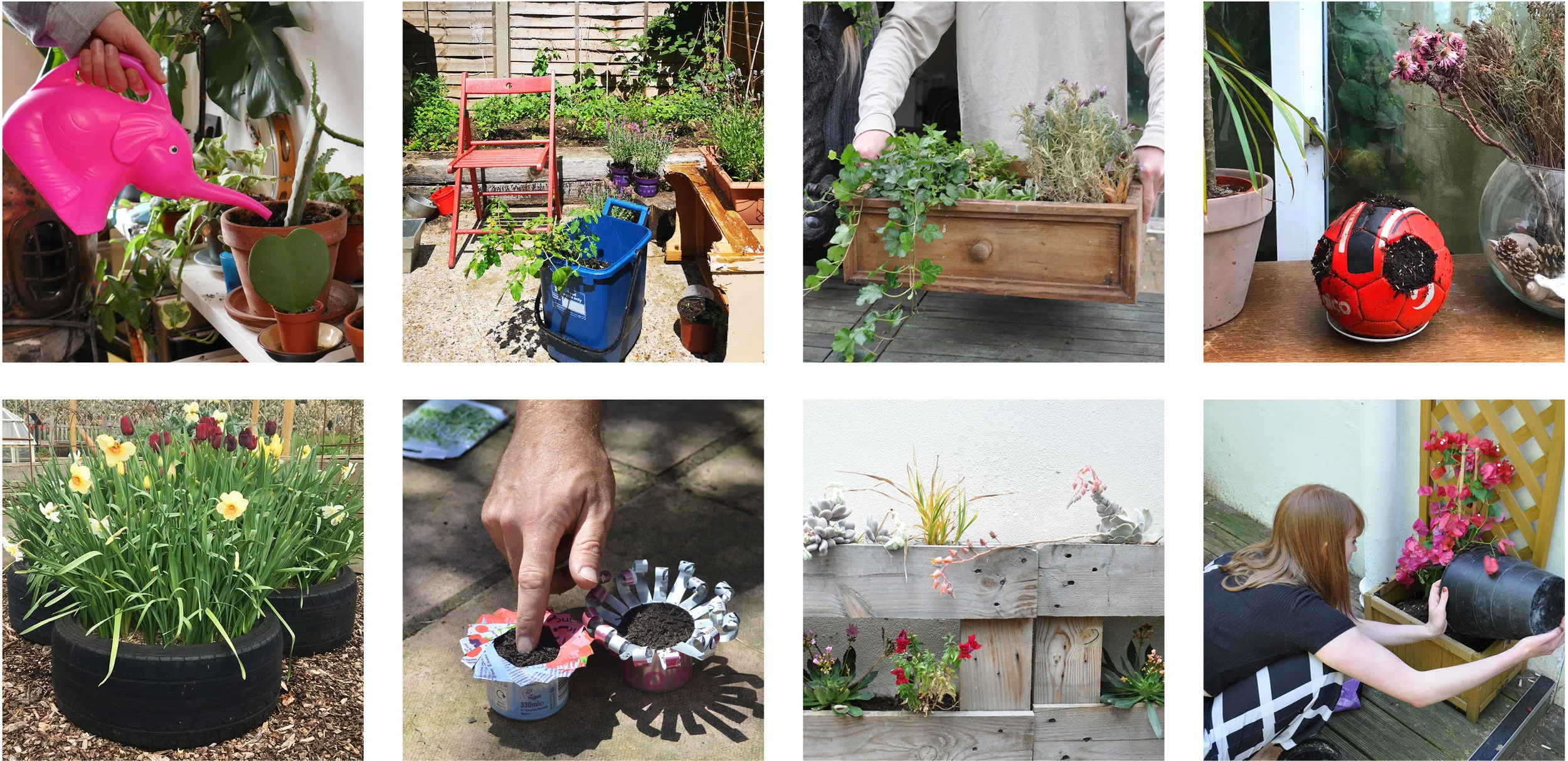 Website gallery.jpg