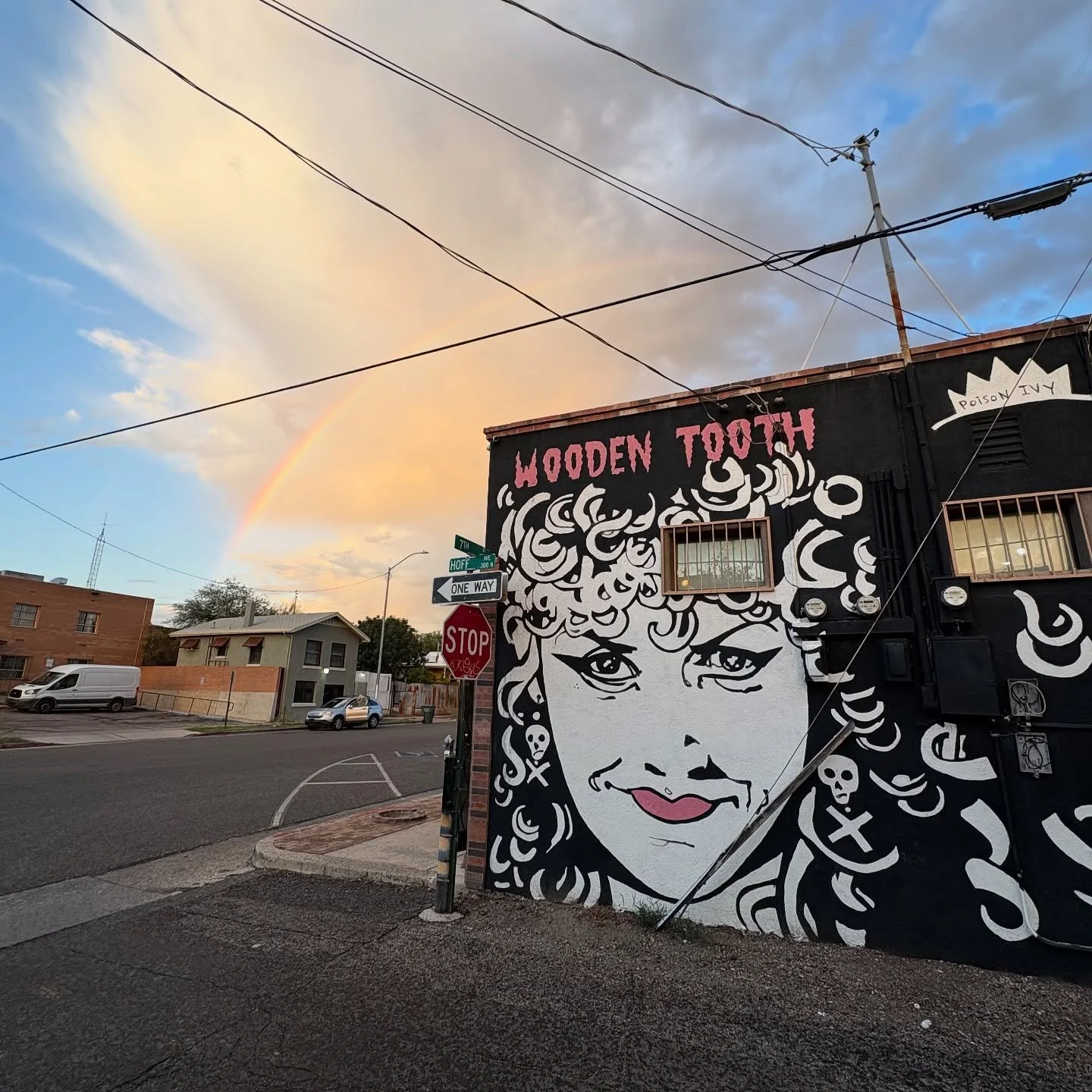 Sunsets, rainbows, & Poison Ivy… 🖤🌈
📷: @johnnie_sparkles