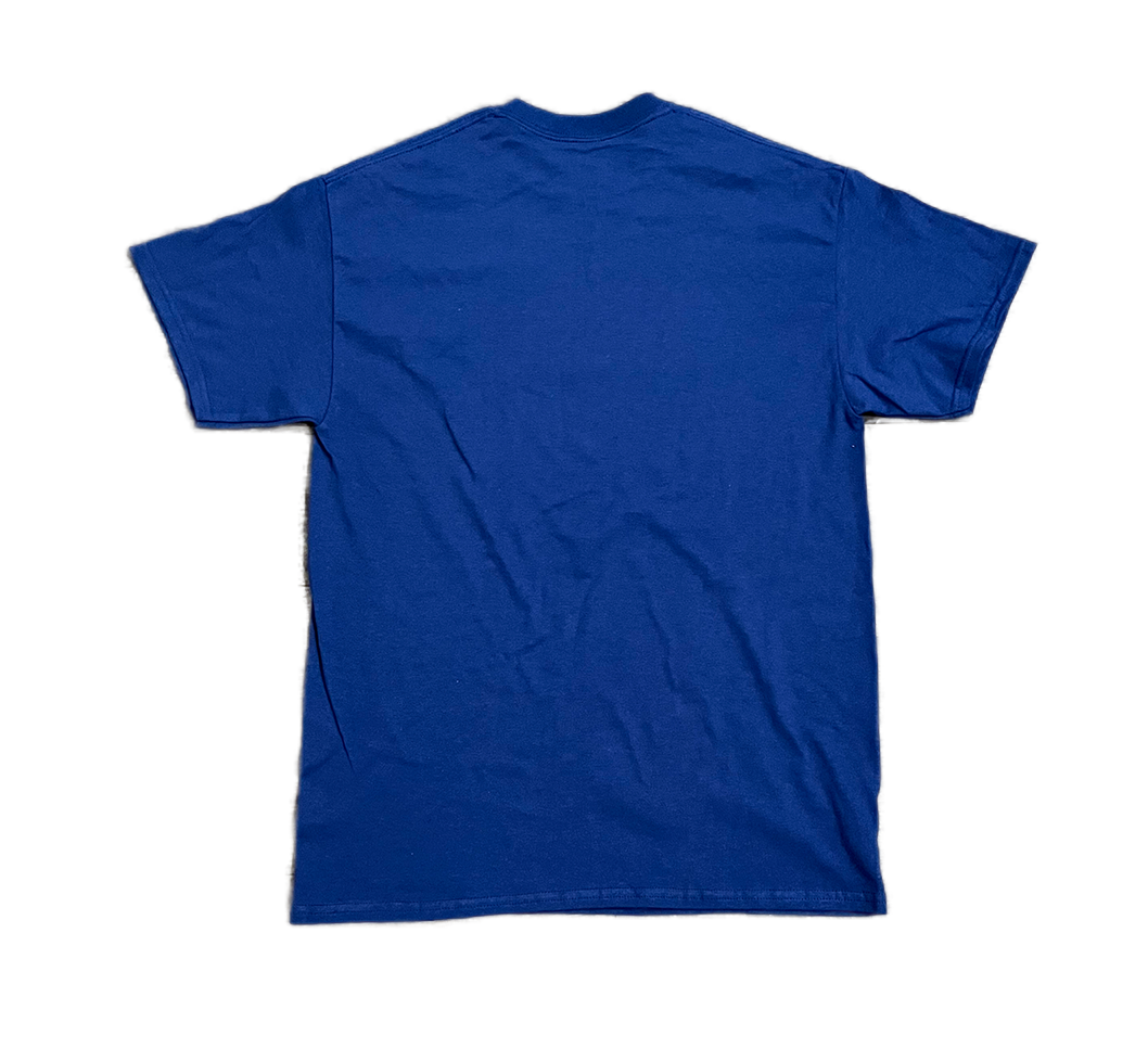 Metro Blue Back.png
