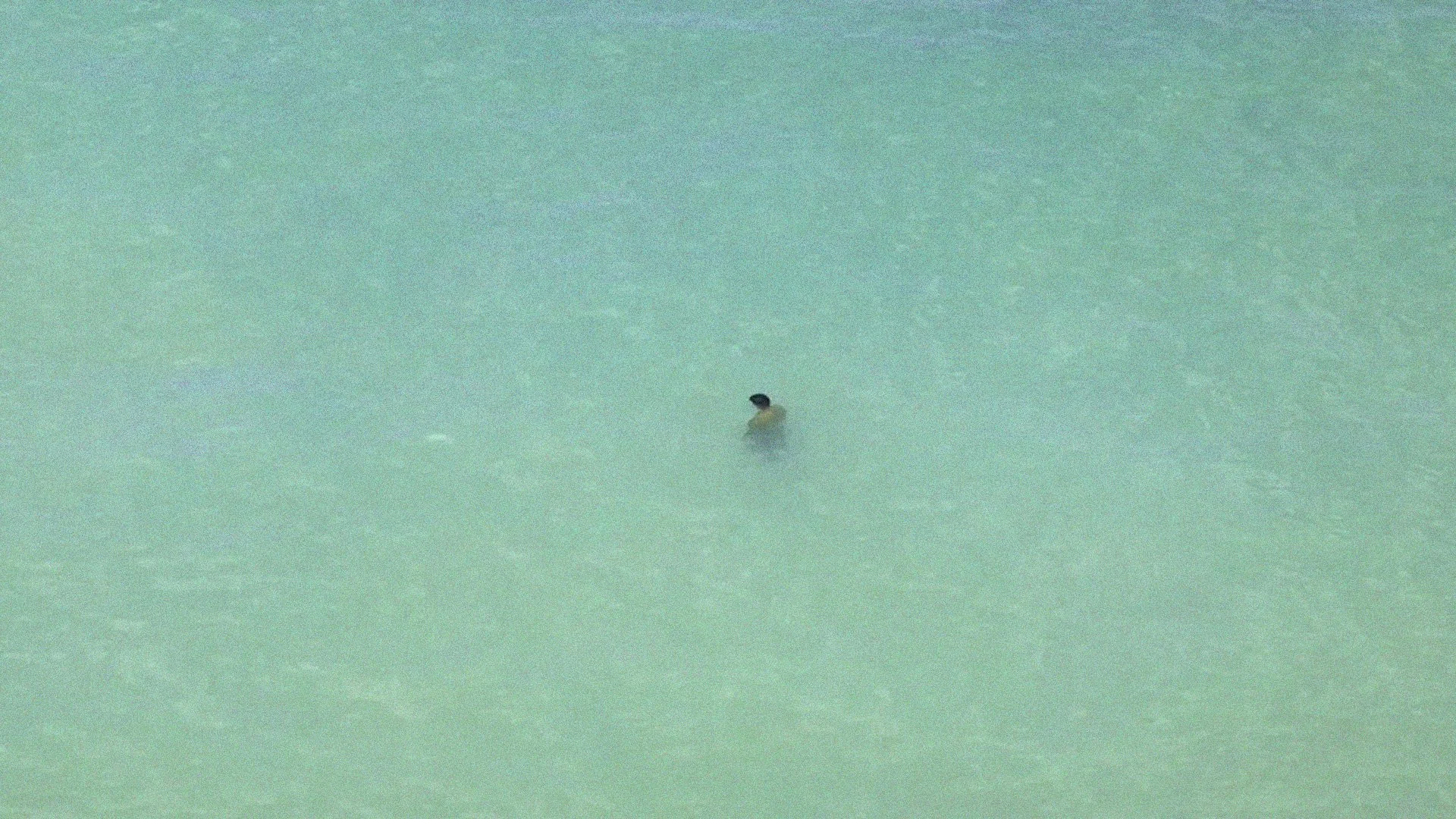 Appointment Surfing