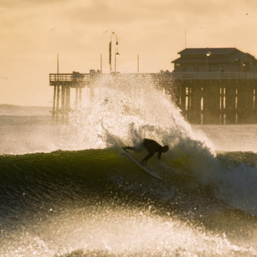 Ano Nuevo Surfing