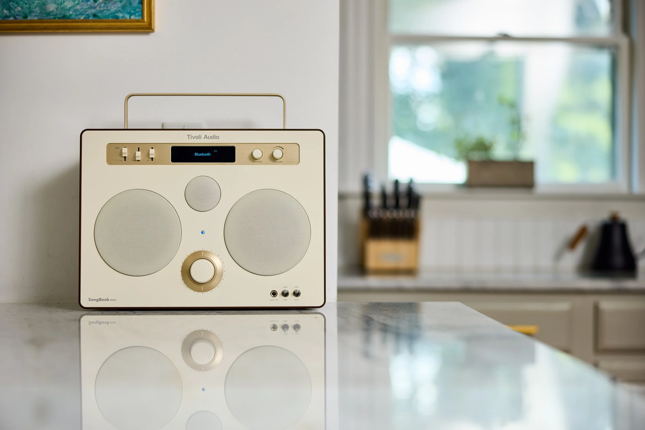 SBMCRM Kitchen Counter with BT.jpg