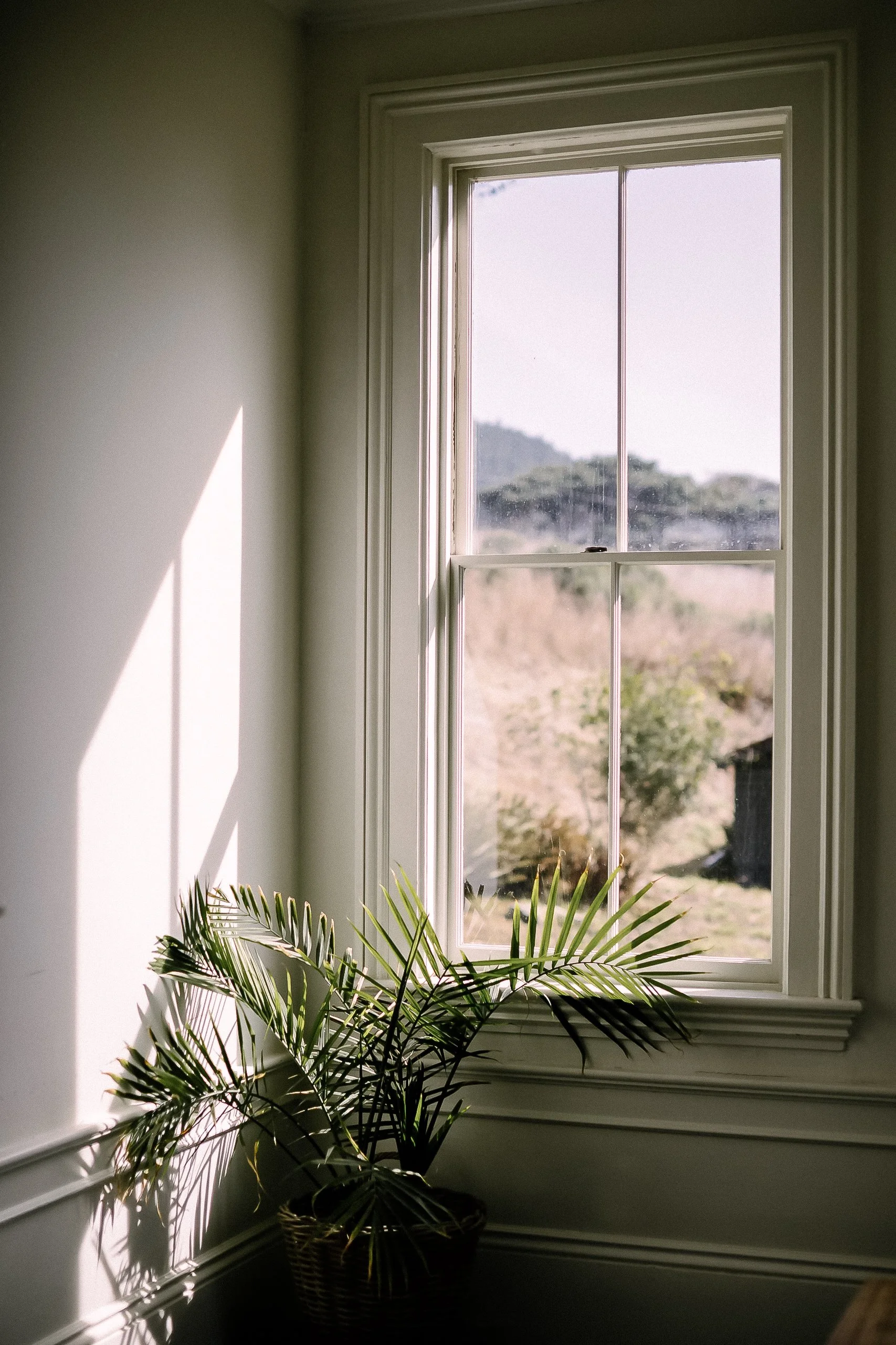 Brand Photographer + Strategic Brand Studio Serving Sonoma, Napa + San Francisco