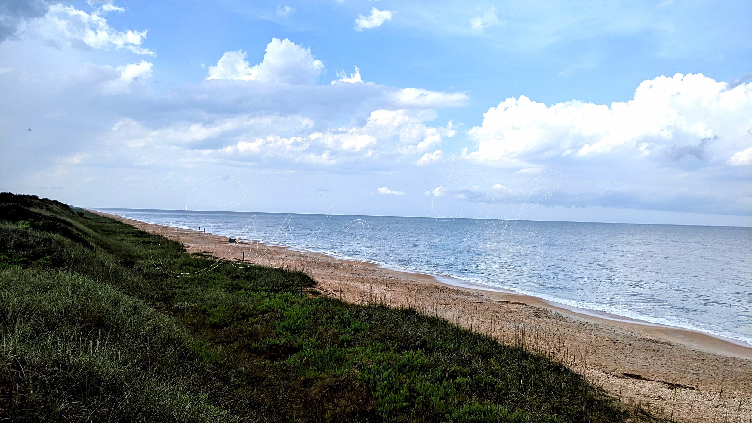 jacksonville square sp.jpg