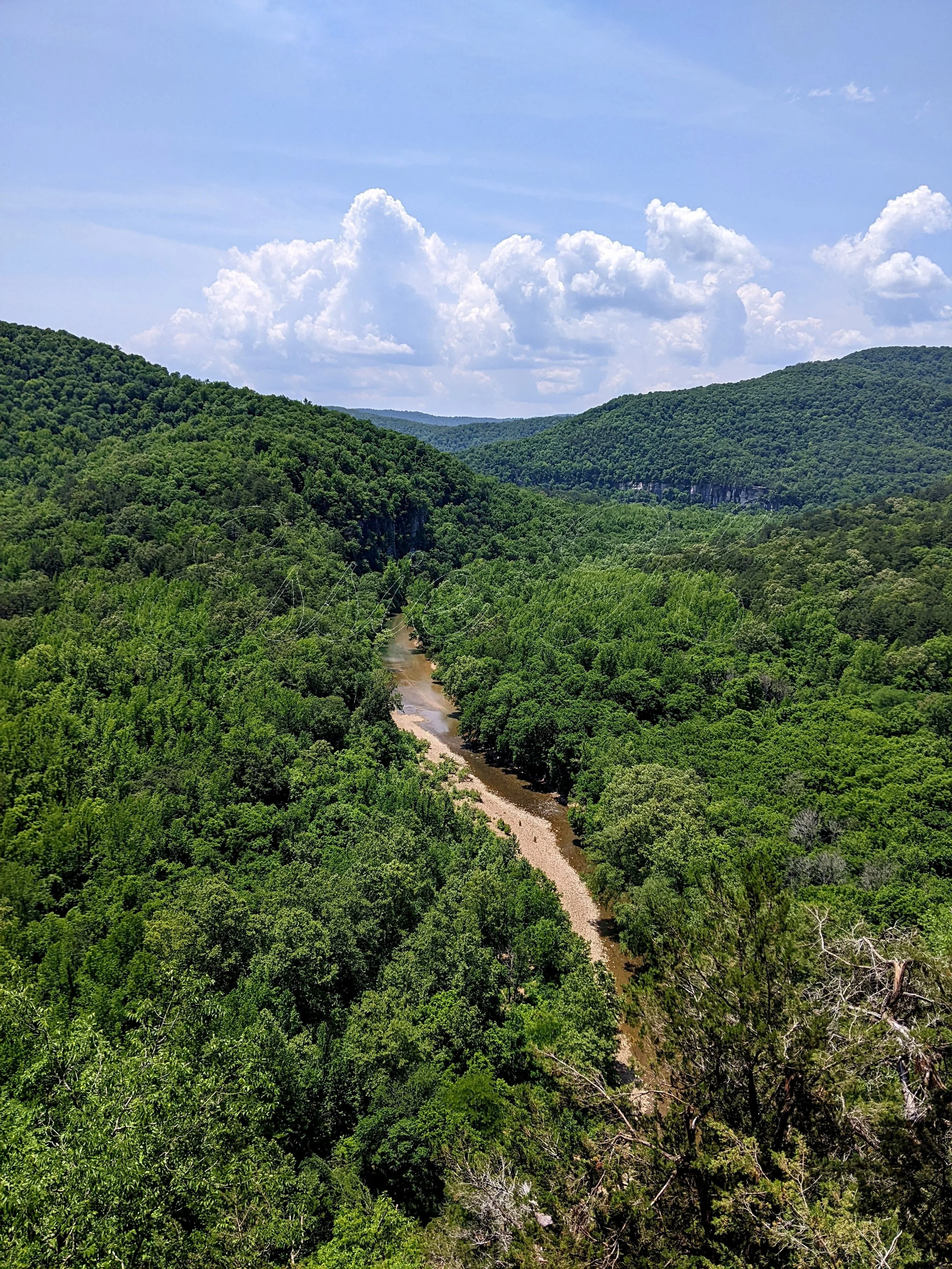 goat trail sq sp.jpg