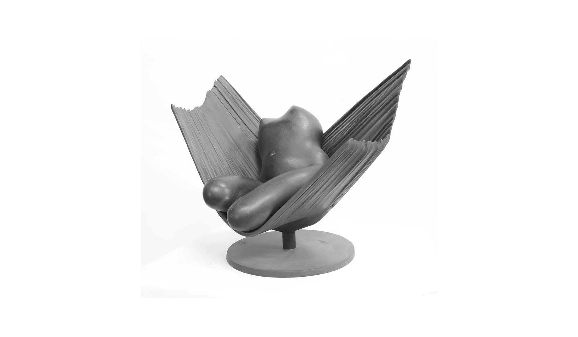 torso en hamaca.jpg