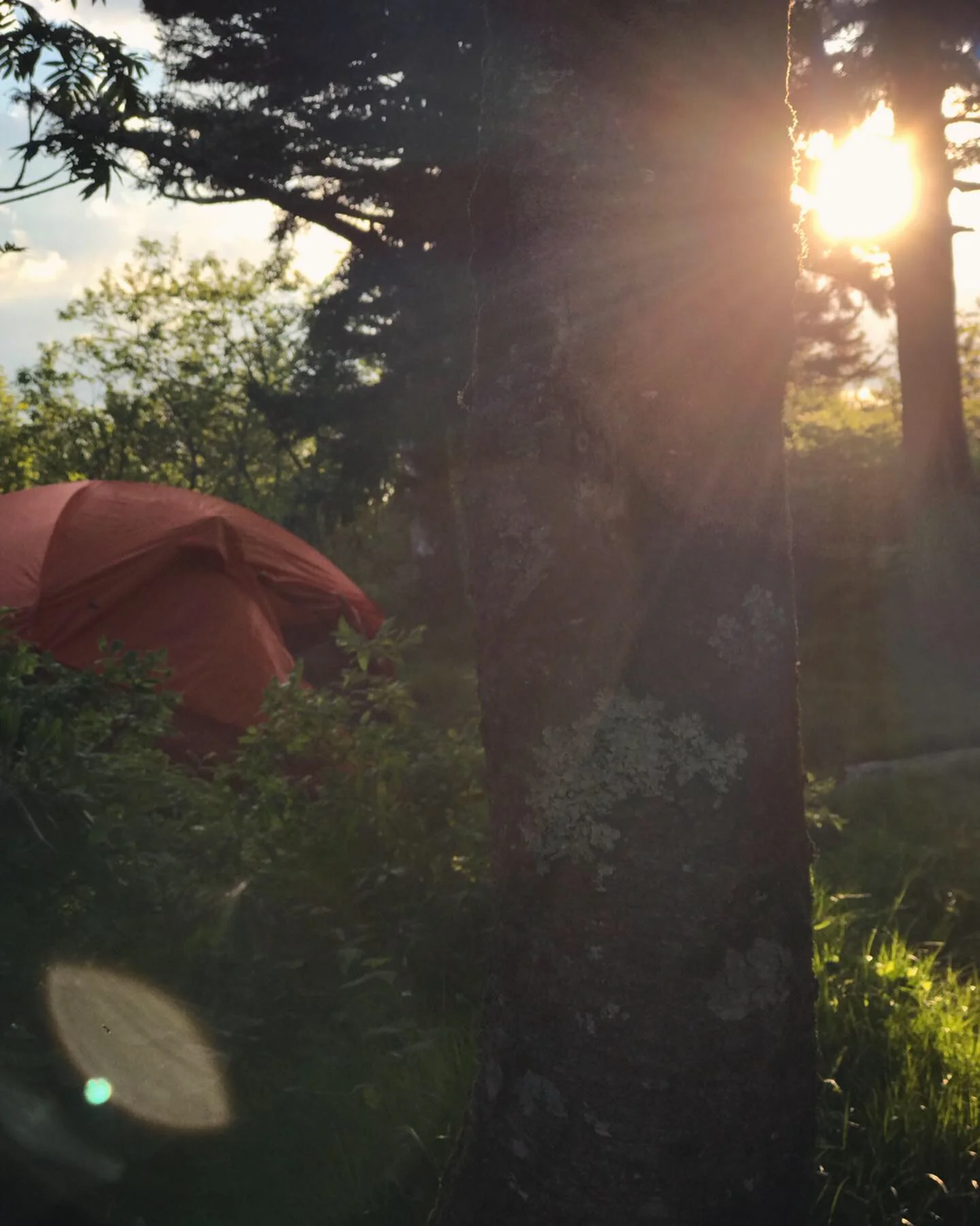 6B17ABC1-041A-49F1-A350-3A9D61851964.jpeg