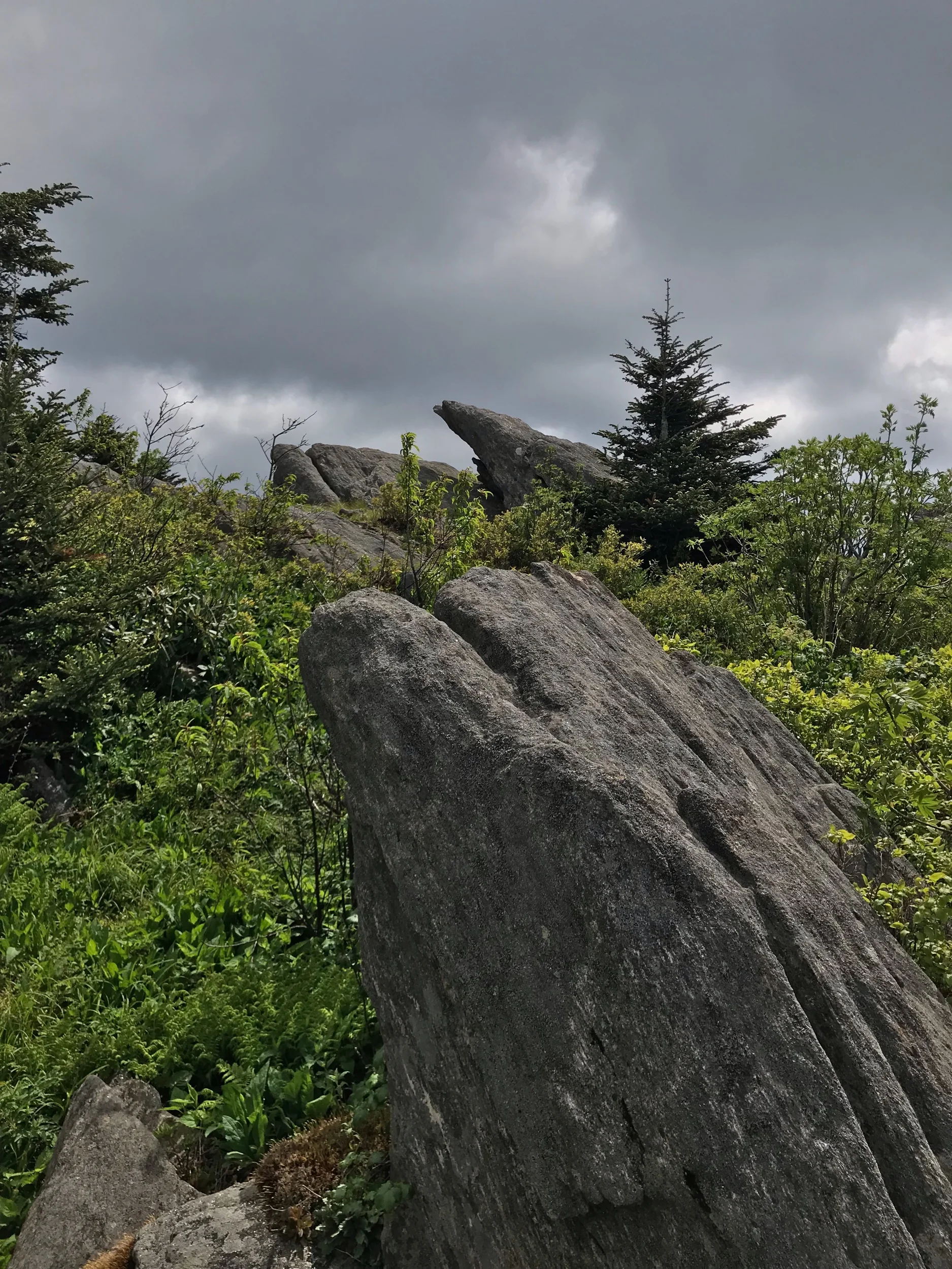 outermost edge