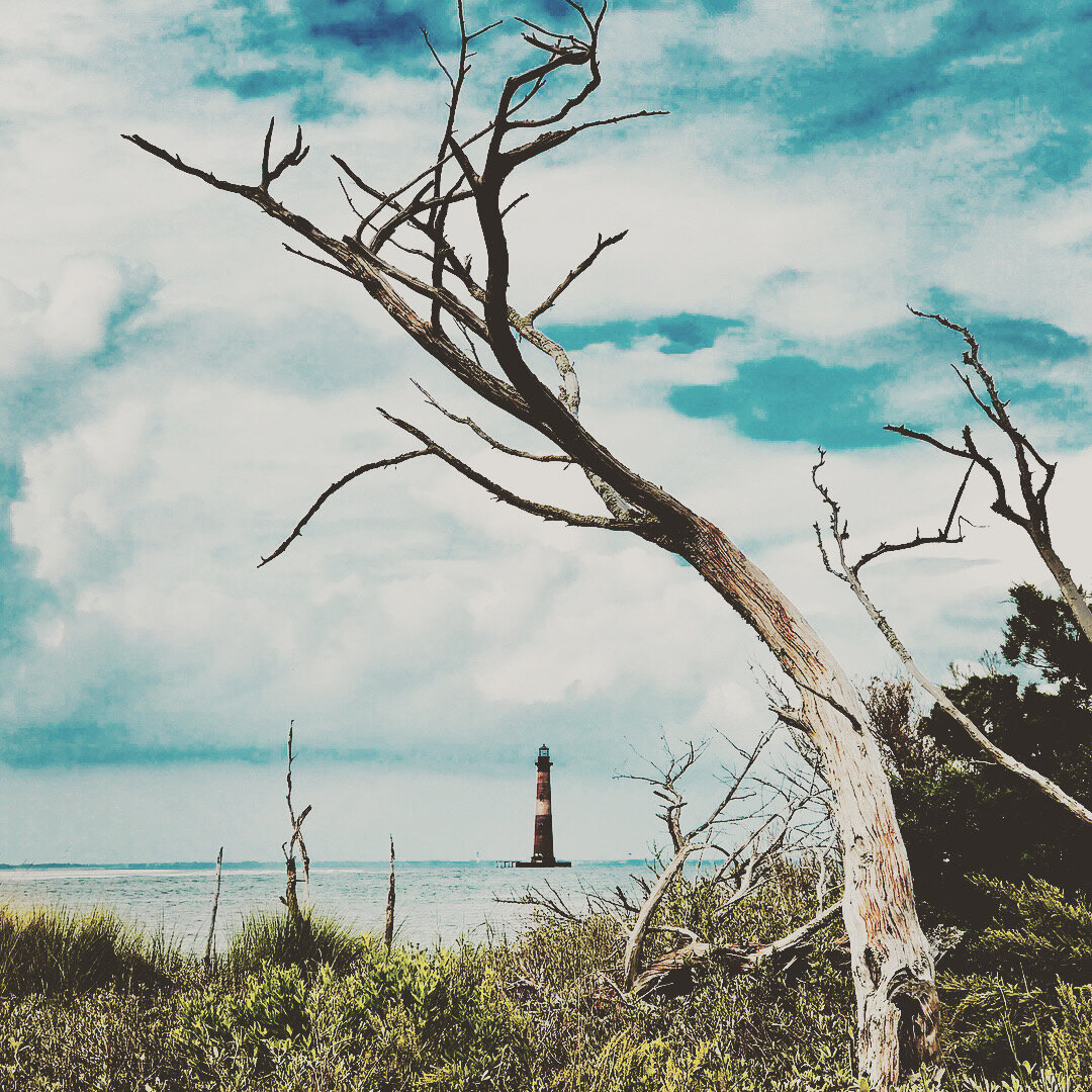 folly