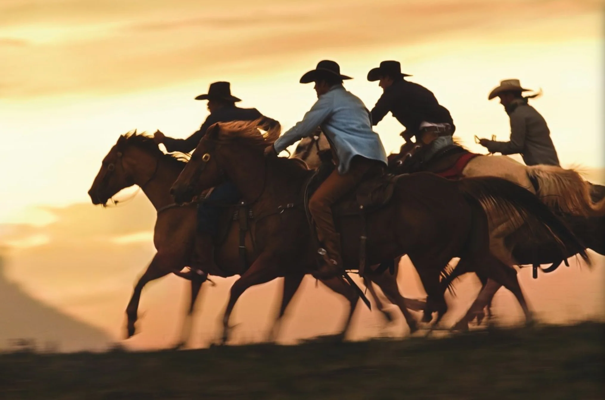 Screen Shot 2019-08-31 at 5.38.26 PM.jpg