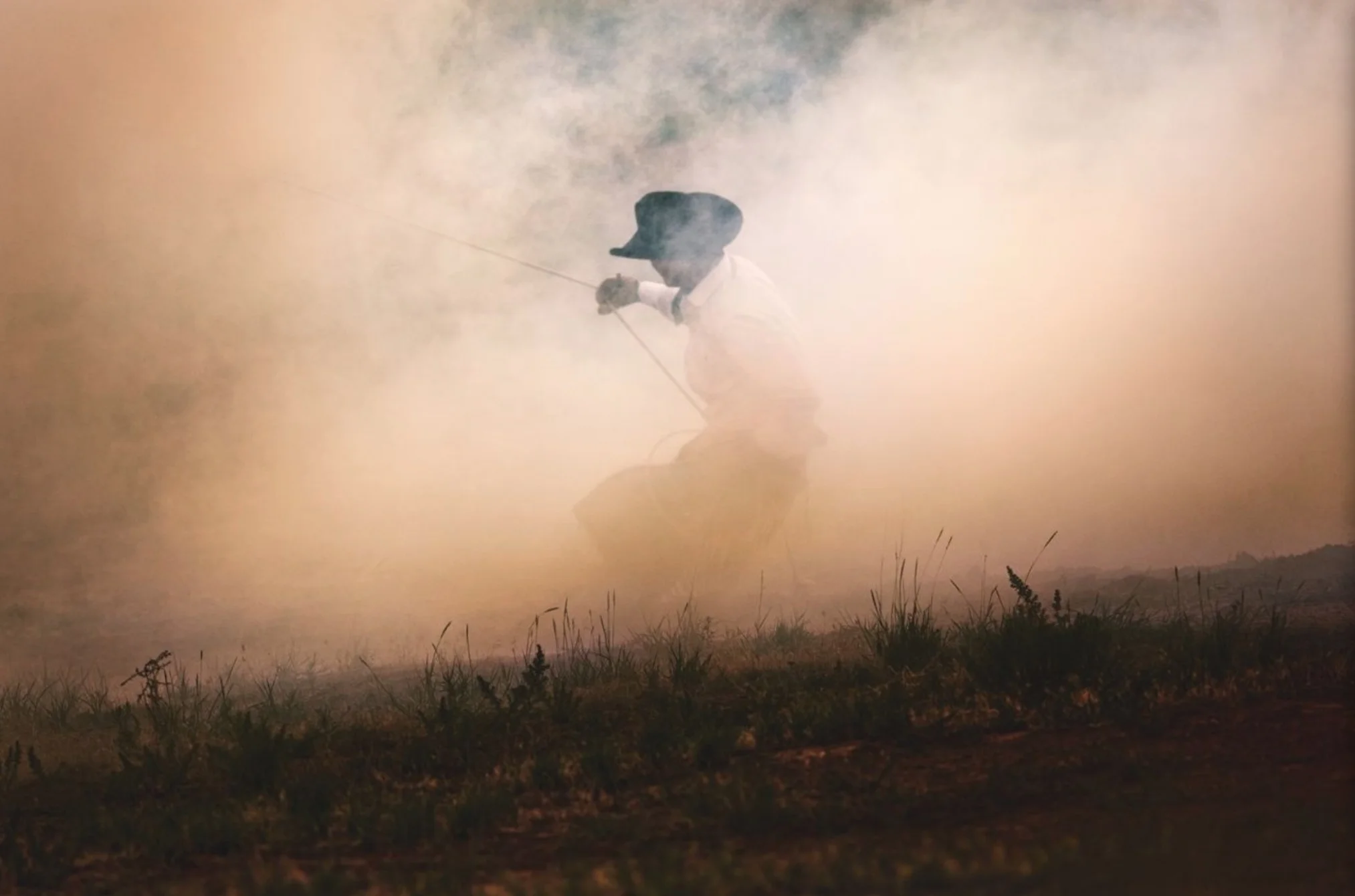 Screen Shot 2019-08-31 at 5.37.42 PM.jpg