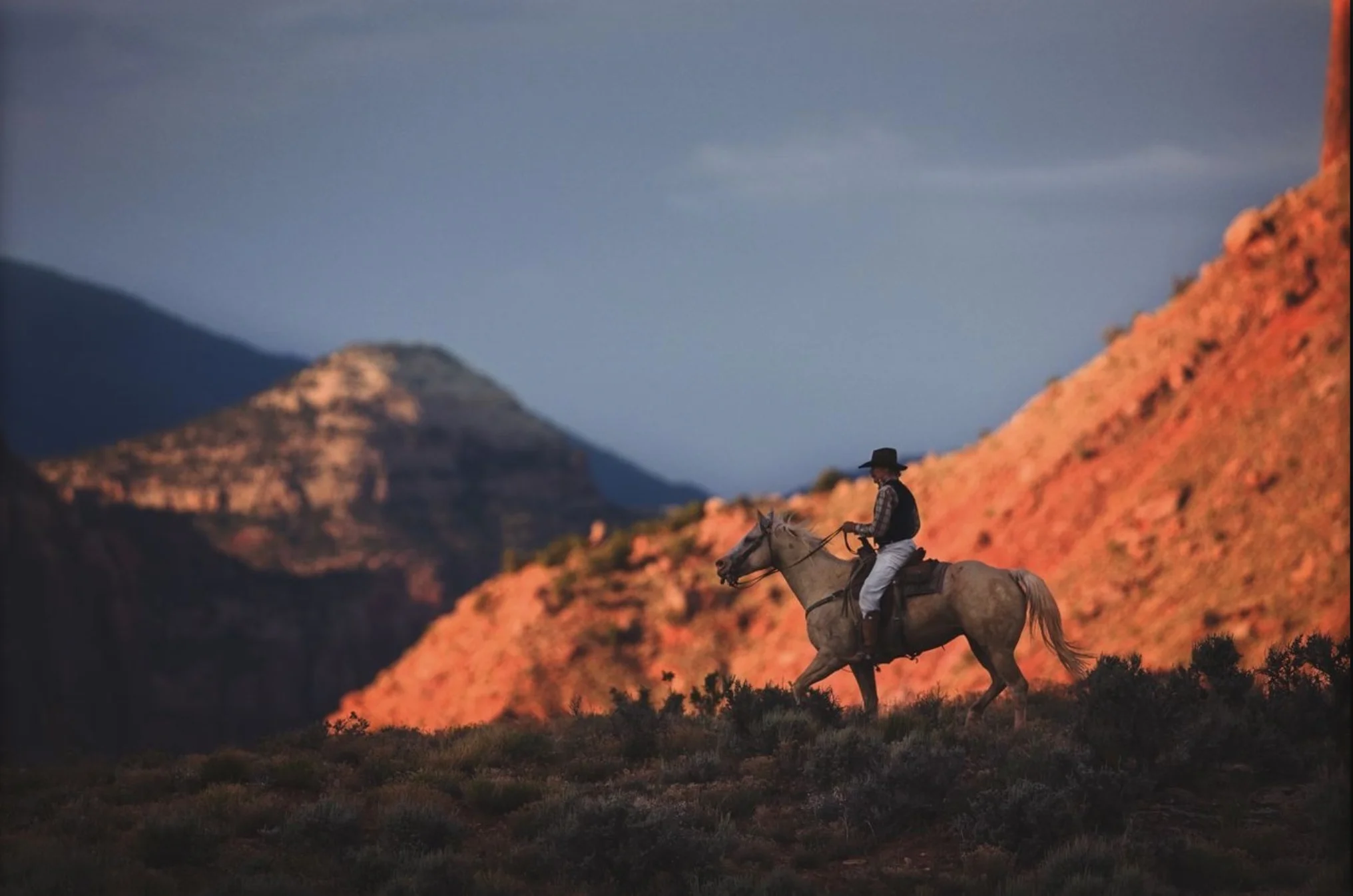 Screen Shot 2019-08-31 at 5.30.32 PM.jpg