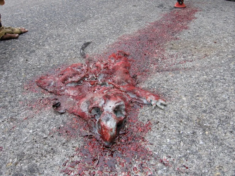 Albino Farm - feature film // Roadkill at it's best created by Robot Monkey Lab, St. Louis.