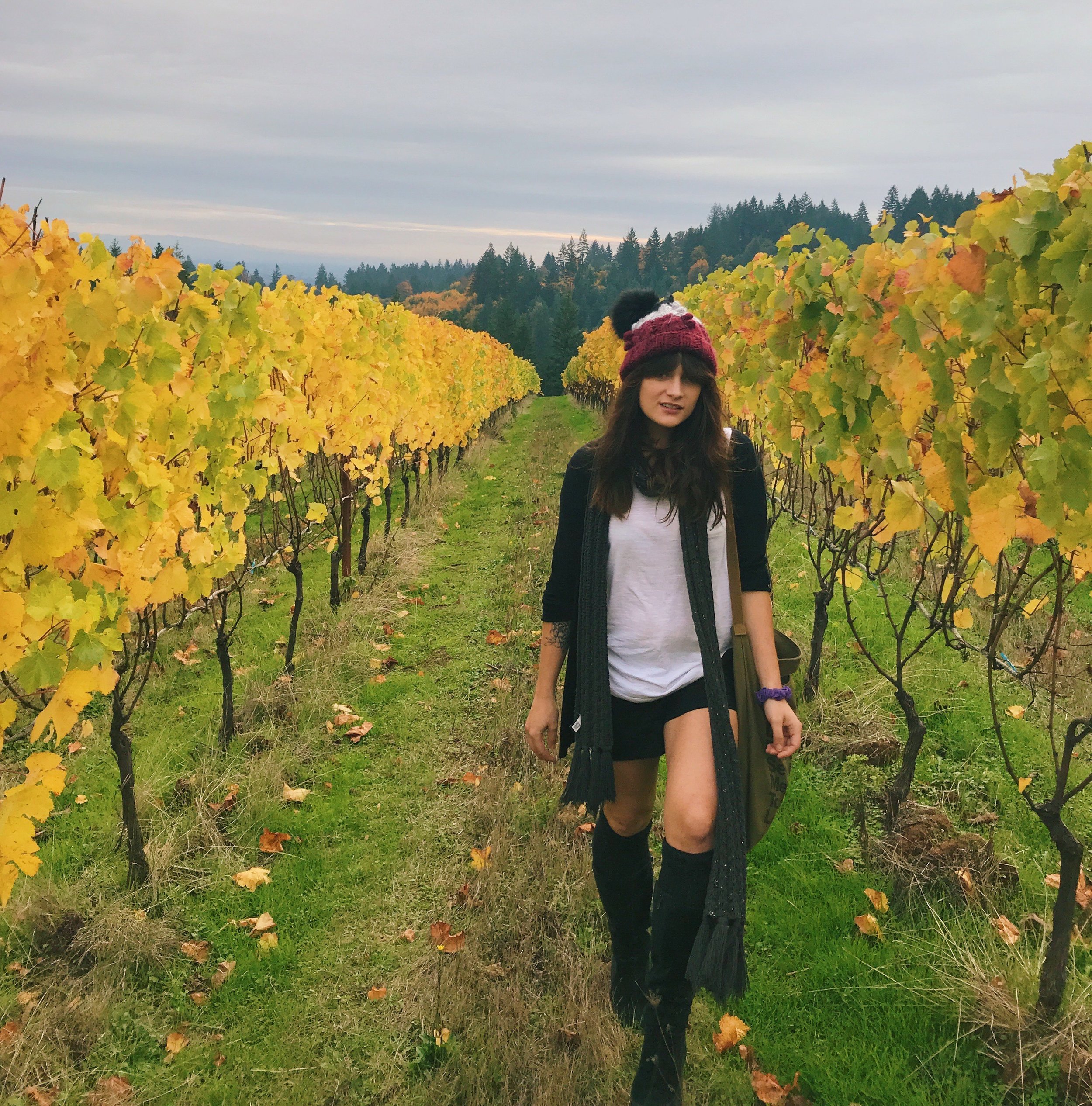 oregon, wine, gretchen holzgang