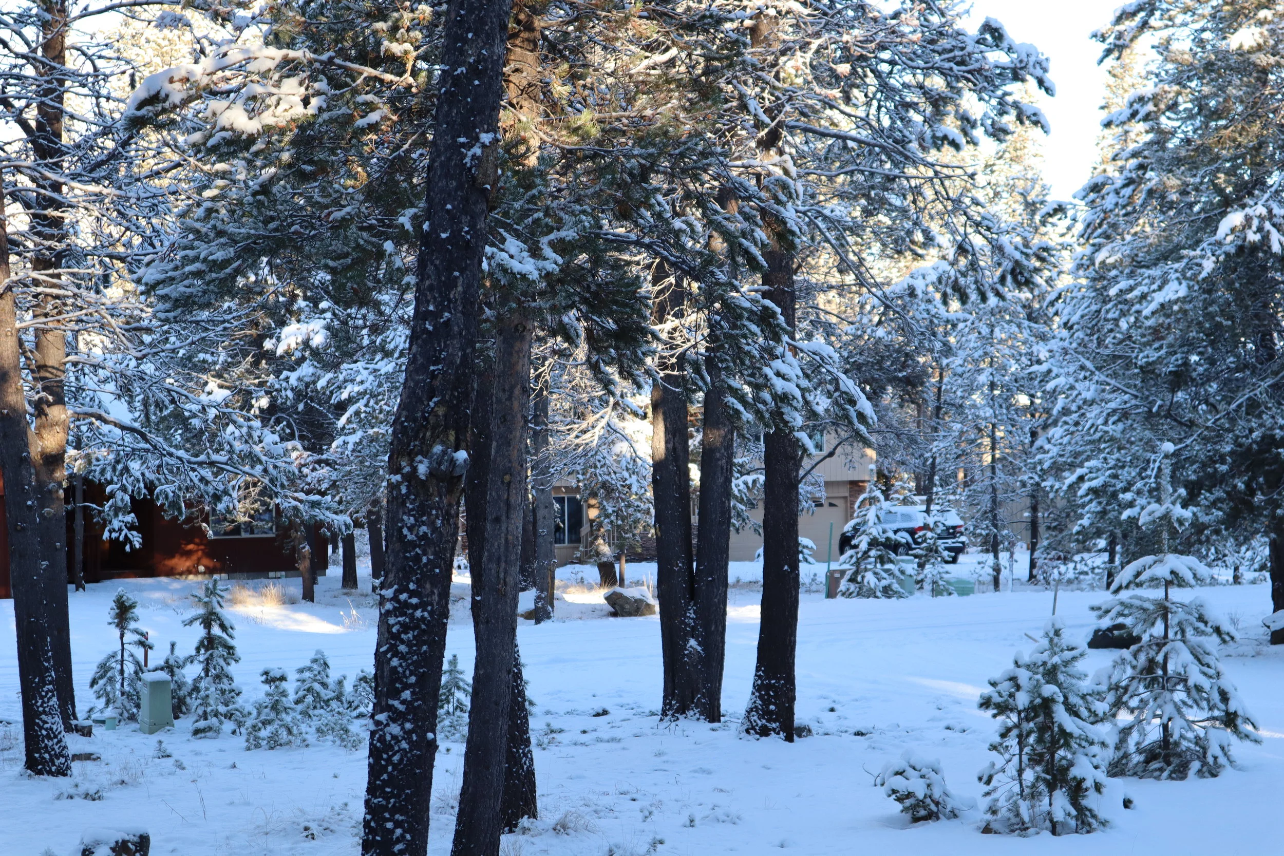 sunriver, oregon, winter, snow