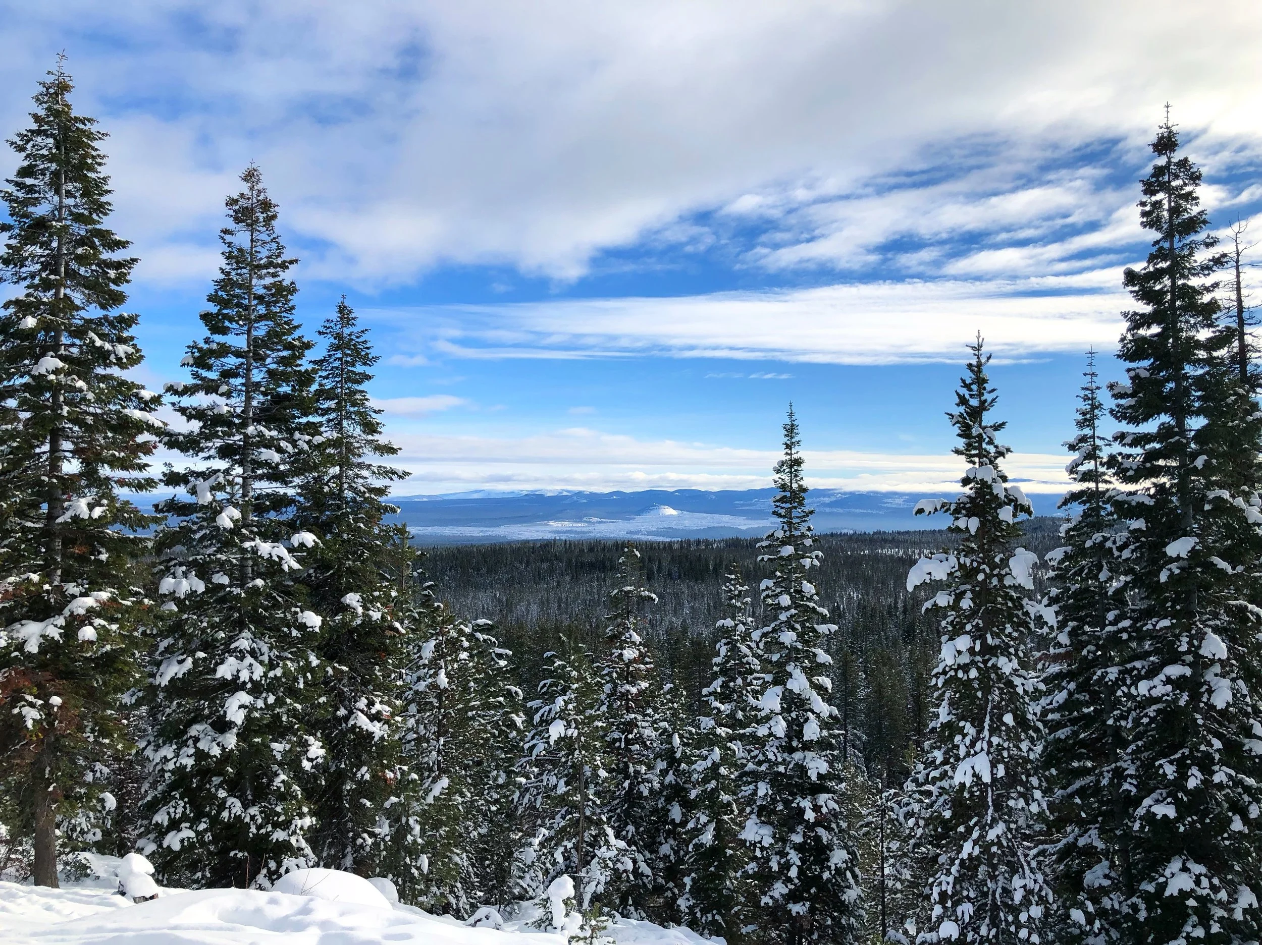 Oregon