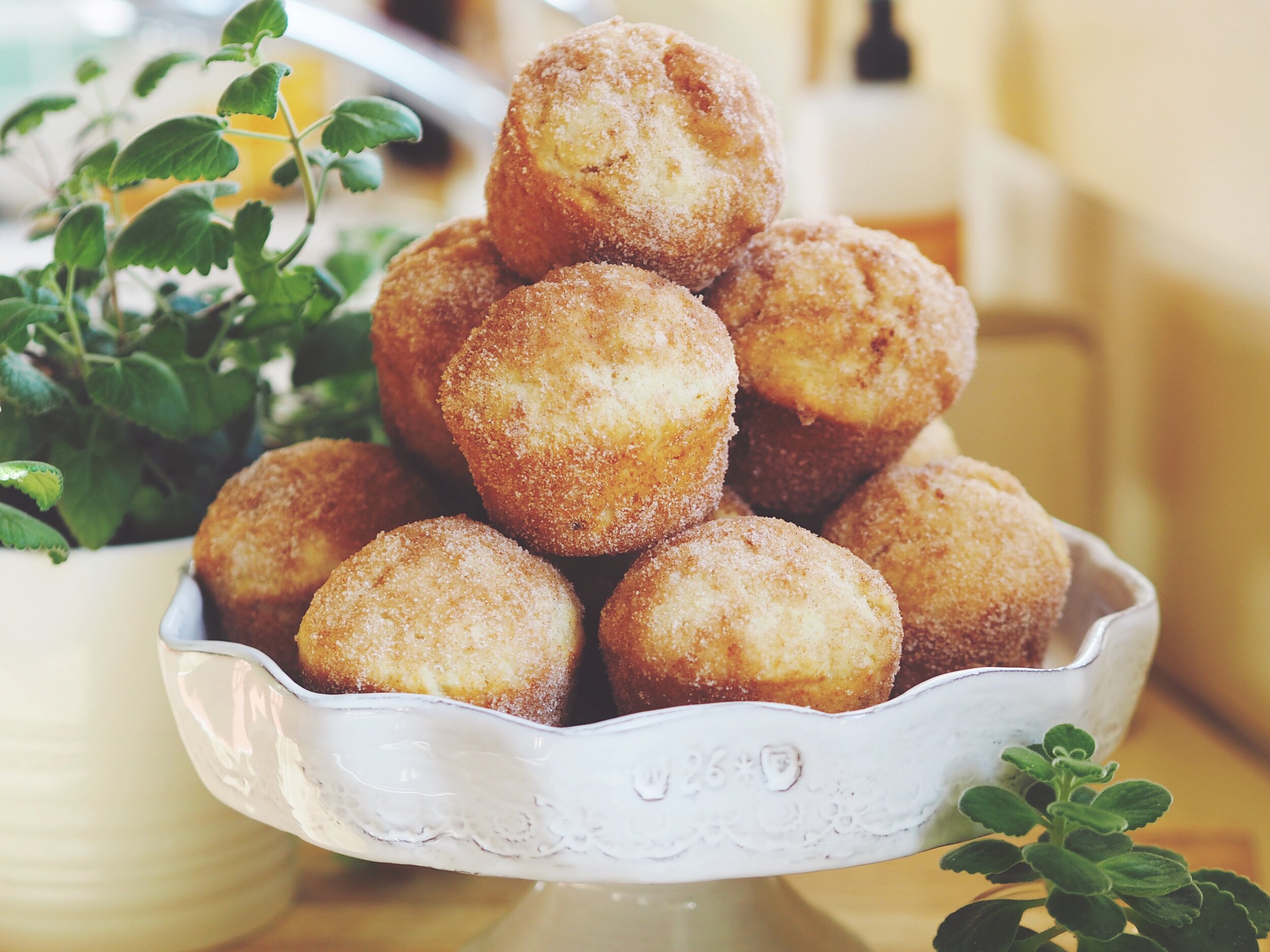 The  Humble Donut Muffin 