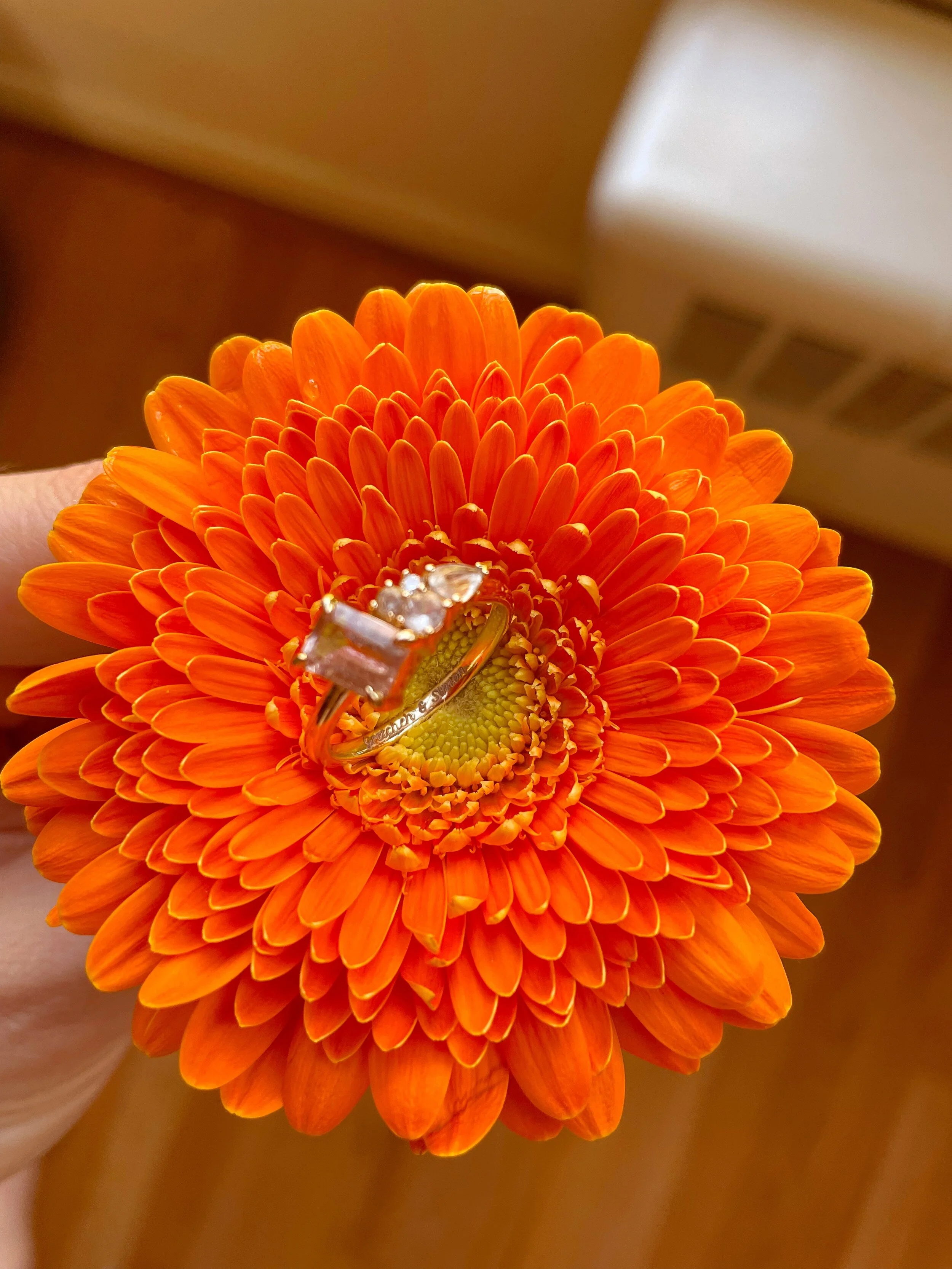 We Got Engaged!