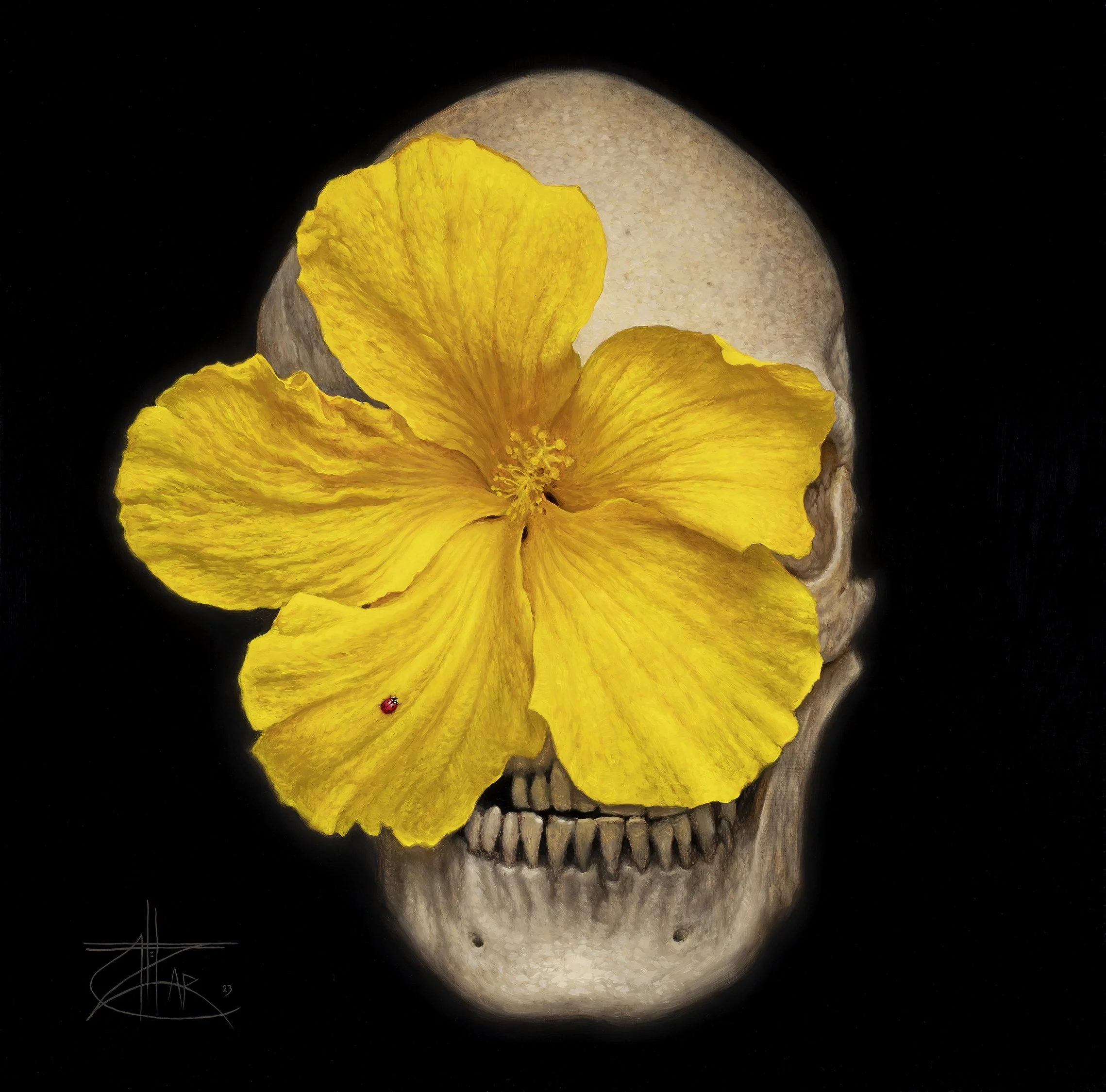 Skullflower_II.jpg