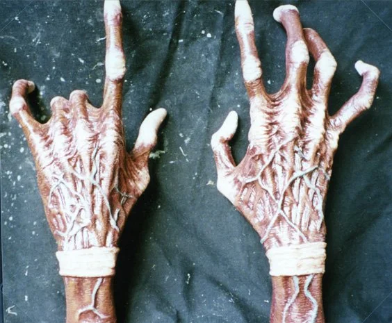 MeatheadHands.jpg