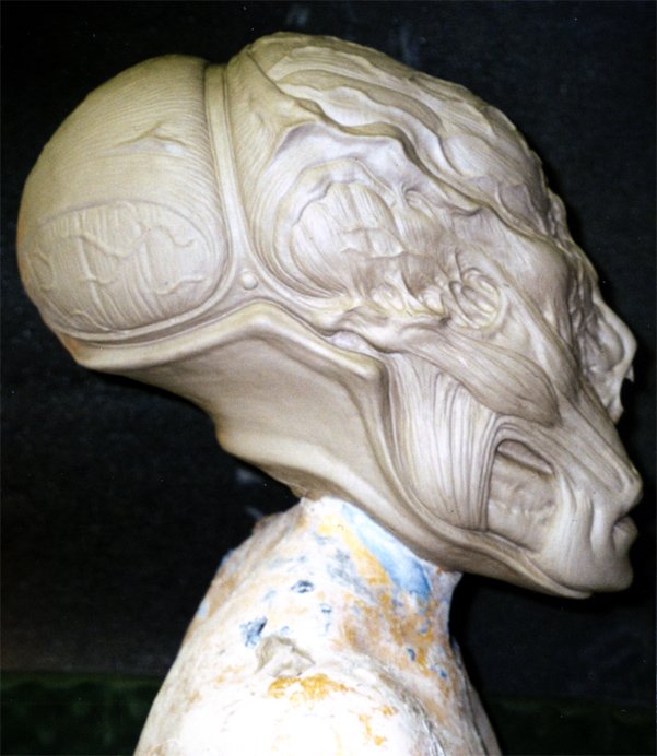 MeatheadSculpt3.jpg